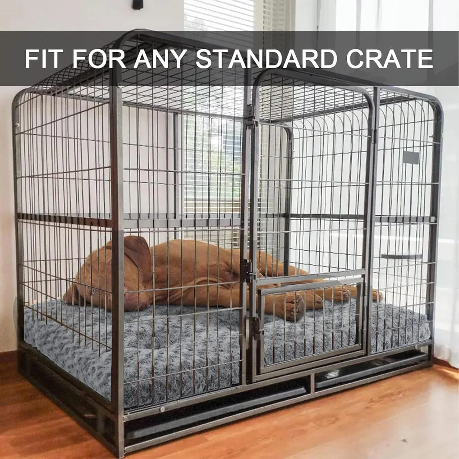 تخت خواب بزرگ سگ قابل شستشو DIMUT، تخت خواب لوکس و مخملی برای سگ ها، پد نرم و راحت برای لانه، تشک خواب ضد لغزش برای نژادهای سگ بزرگ، خیلی بزرگ، متوسط و کوچک (متوسط، خاکستری) تخت خواب بزرگ سگ قابل شستشو DIMUT، تخت خواب لوکس و مخملی برای سگ ها، پد نرم و راحت برای لانه، تشک خواب ضد لغزش برای نژادهای سگ بزرگ، خیلی بزرگ، متوسط و کوچک (متوسط، خاکستری)