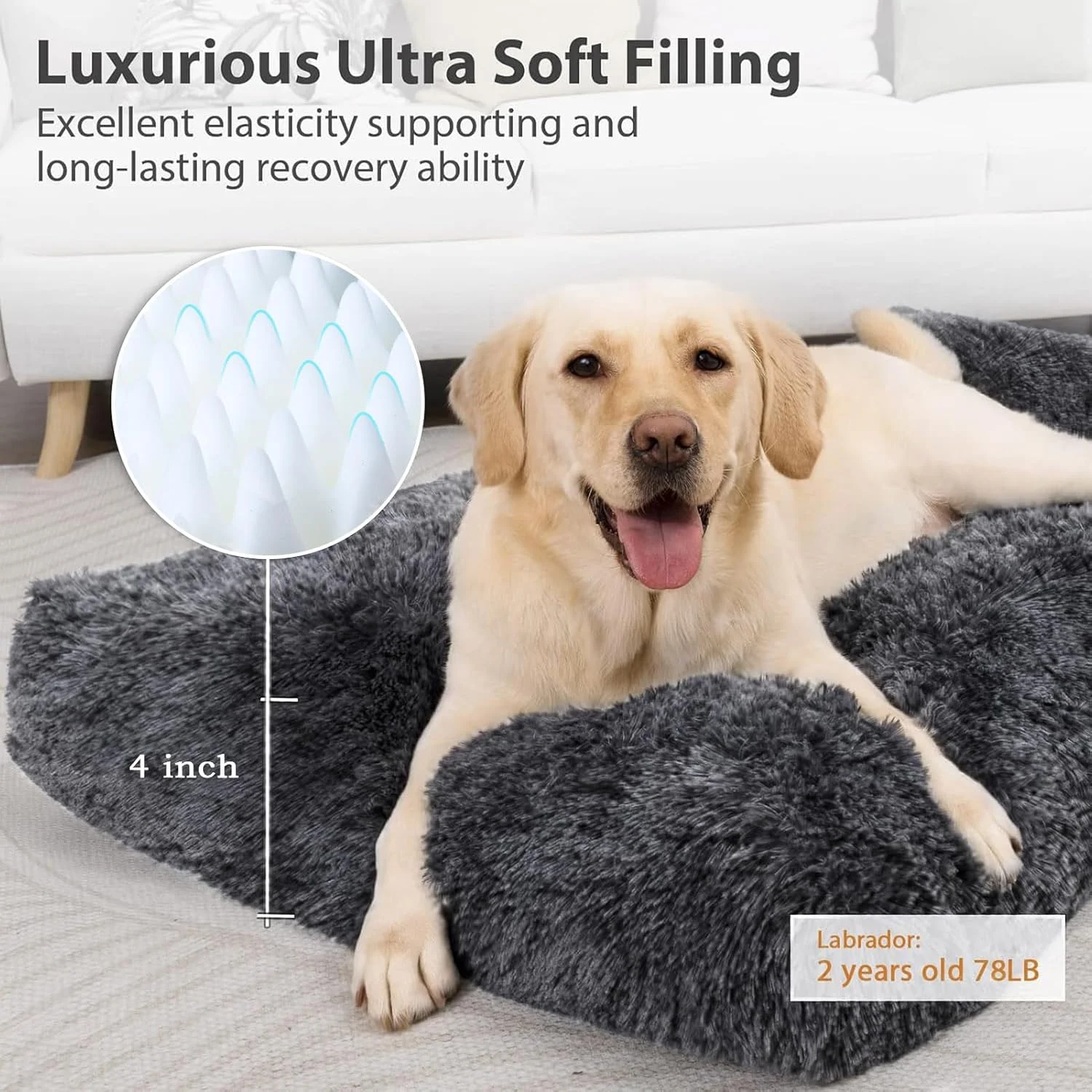 تشک تخت خواب سگ بزرگ مخملی نرم DIMUT، پدهای سگ قابل جابجایی و شستشو، تخت خواب حیوانات خانگی برای سگ ها و گربه های کوچک متوسط، تخت سگ فوم جعبه تخم مرغ ارتوپدی (بزرگ، خاکستری) تشک تخت خواب سگ بزرگ مخملی نرم DIMUT، پدهای سگ قابل جابجایی و شستشو، تخت خواب حیوانات خانگی برای سگ ها و گربه های کوچک متوسط، تخت سگ فوم جعبه تخم مرغ ارتوپدی (بزرگ، خاکستری)