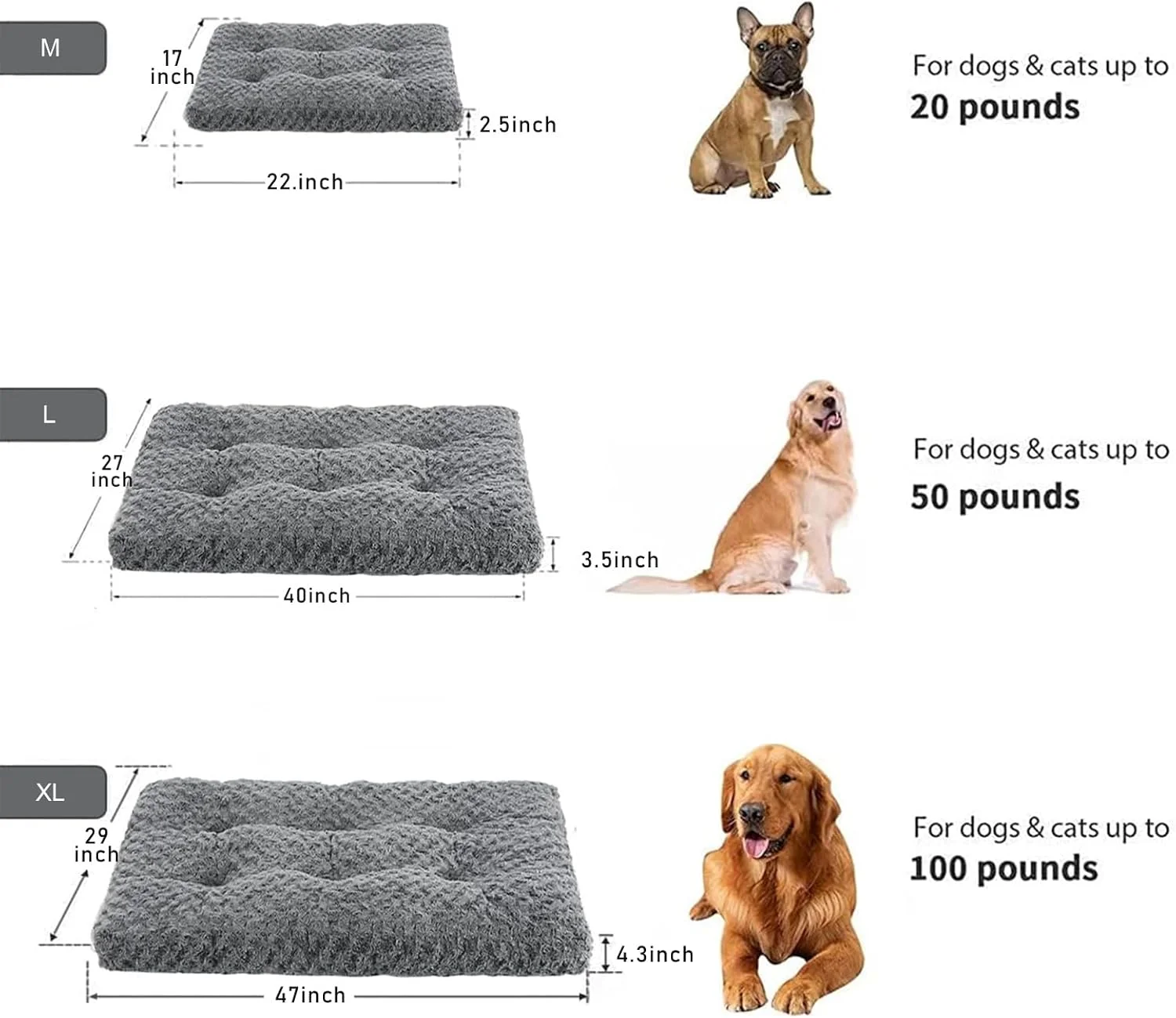تخت خواب بزرگ سگ قابل شستشو DIMUT، تخت خواب لوکس و مخملی برای سگ ها، پد نرم و راحت برای لانه، تشک خواب ضد لغزش برای نژادهای سگ بزرگ، خیلی بزرگ، متوسط و کوچک (متوسط، خاکستری) تخت خواب بزرگ سگ قابل شستشو DIMUT، تخت خواب لوکس و مخملی برای سگ ها، پد نرم و راحت برای لانه، تشک خواب ضد لغزش برای نژادهای سگ بزرگ، خیلی بزرگ، متوسط و کوچک (متوسط، خاکستری)