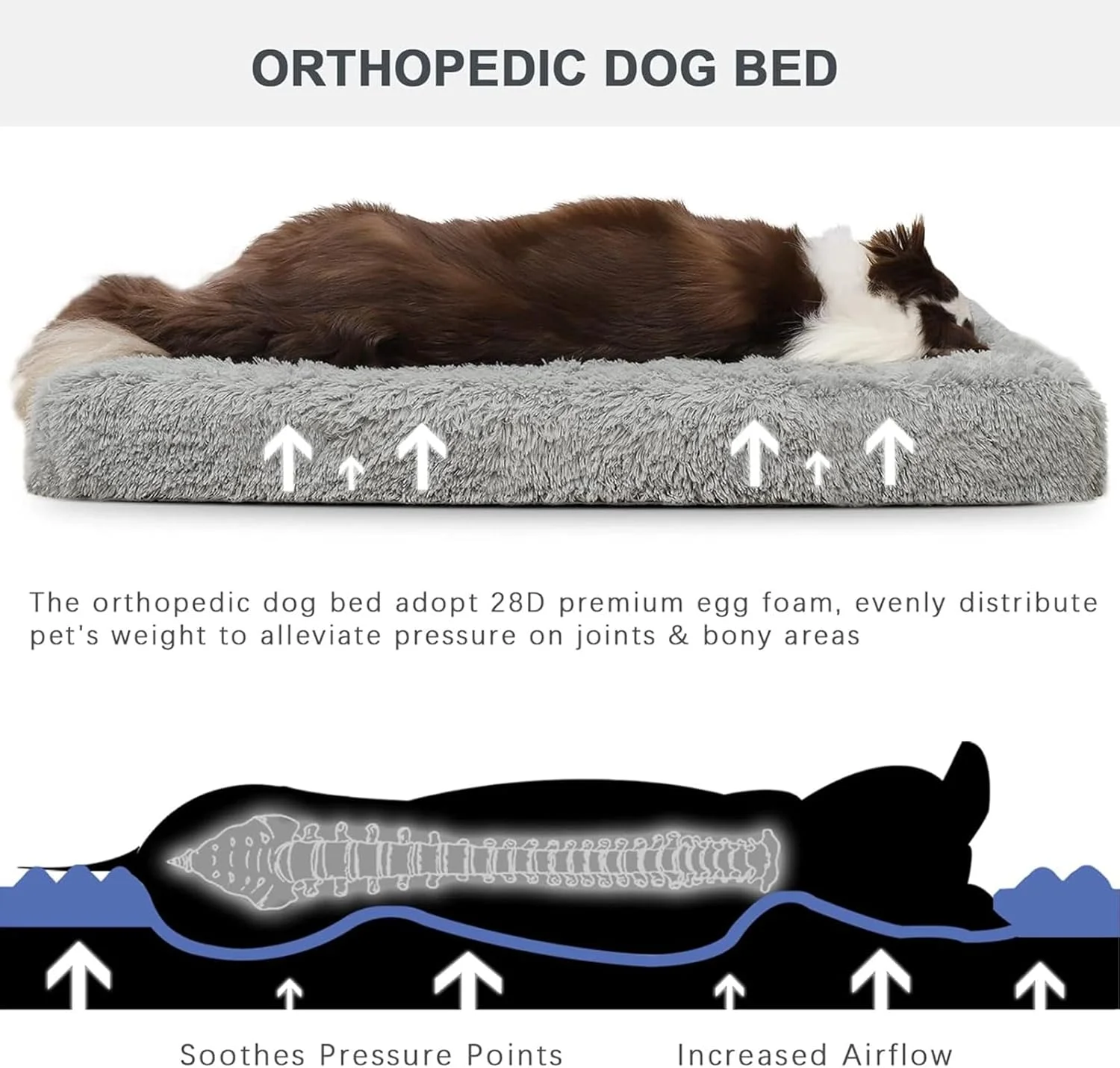 تشک تخت خواب سگ بزرگ مخملی نرم DIMUT، پدهای سگ قابل جابجایی و شستشو، تخت خواب حیوانات خانگی برای سگ ها و گربه های کوچک متوسط، تخت سگ فوم جعبه تخم مرغ ارتوپدی (بزرگ، خاکستری) تشک تخت خواب سگ بزرگ مخملی نرم DIMUT، پدهای سگ قابل جابجایی و شستشو، تخت خواب حیوانات خانگی برای سگ ها و گربه های کوچک متوسط، تخت سگ فوم جعبه تخم مرغ ارتوپدی (بزرگ، خاکستری)
