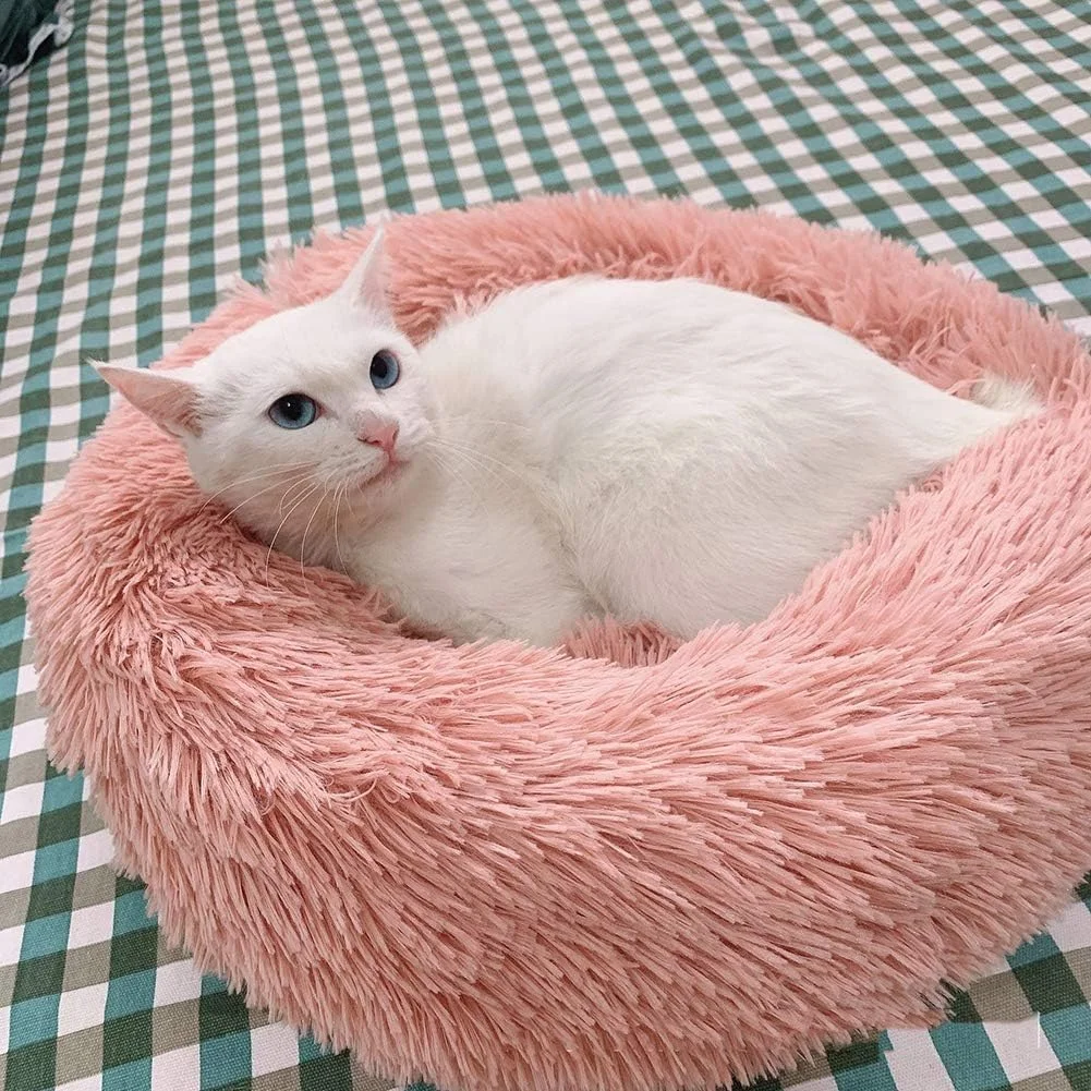 تخت خواب نرم و لوکس حیوانات خانگی CQLXZ، لانه گرد و بلند ضد لغزش، تخت سگ ارتوپدی دوناتی قابل شستشو، برای گربه ها و سگ های کوچک، رنگ کرمی، 40 سانتی متر تخت خواب نرم و لوکس حیوانات خانگی CQLXZ، لانه گرد و بلند ضد لغزش، تخت سگ ارتوپدی دوناتی قابل شستشو، برای گربه ها و سگ های کوچک، رنگ کرمی، 40 سانتی متر