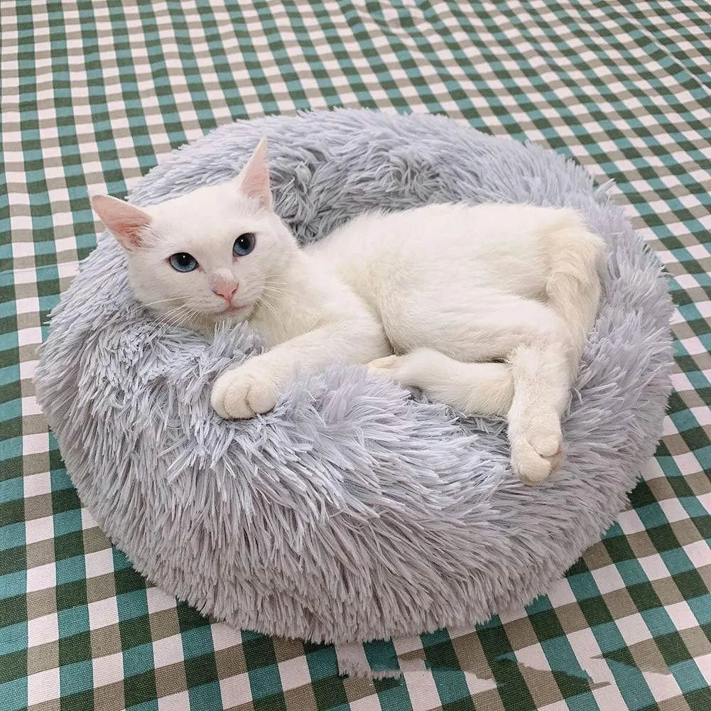 تخت خواب نرم و لوکس حیوانات خانگی CQLXZ، لانه گرد و بلند ضد لغزش، تخت سگ ارتوپدی دوناتی قابل شستشو، برای گربه ها و سگ های کوچک، رنگ کرمی، 40 سانتی متر تخت خواب نرم و لوکس حیوانات خانگی CQLXZ، لانه گرد و بلند ضد لغزش، تخت سگ ارتوپدی دوناتی قابل شستشو، برای گربه ها و سگ های کوچک، رنگ کرمی، 40 سانتی متر