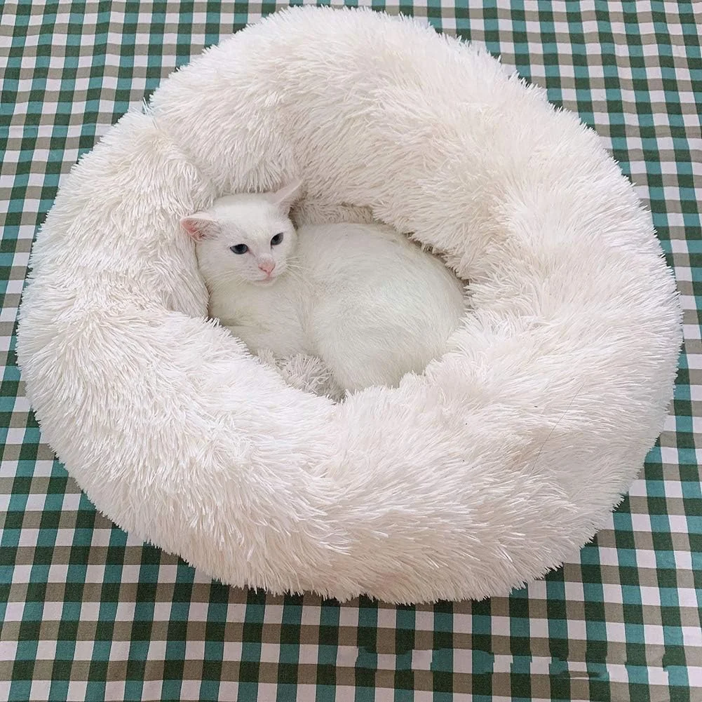 تخت خواب نرم و لوکس حیوانات خانگی CQLXZ، لانه گرد و بلند ضد لغزش، تخت سگ ارتوپدی دوناتی قابل شستشو، برای گربه ها و سگ های کوچک، رنگ کرمی، 40 سانتی متر تخت خواب نرم و لوکس حیوانات خانگی CQLXZ، لانه گرد و بلند ضد لغزش، تخت سگ ارتوپدی دوناتی قابل شستشو، برای گربه ها و سگ های کوچک، رنگ کرمی، 40 سانتی متر