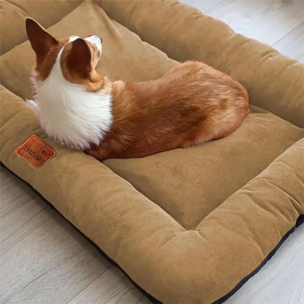 تخت خواب سگ برای سگ های بزرگ، تخت خواب نرم و لطیف، تخت خواب سگ مموری فوم با روکش قابل جابجایی و شستشو در ماشین لباسشویی، تخت خواب حیوانات خانگی برای سگ های بزرگ، جامبو، متوسط، کوچک، تشک برای خواب (90 * 65 سانتی متر) (زرد، خیلی بزرگ) تخت خواب سگ برای سگ های بزرگ، تخت خواب نرم و لطیف، تخت خواب سگ مموری فوم با روکش قابل جابجایی و شستشو در ماشین لباسشویی، تخت خواب حیوانات خانگی برای سگ های بزرگ، جامبو، متوسط، کوچک، تشک برای خواب (90 * 65 سانتی متر) (زرد، خیلی بزرگ)