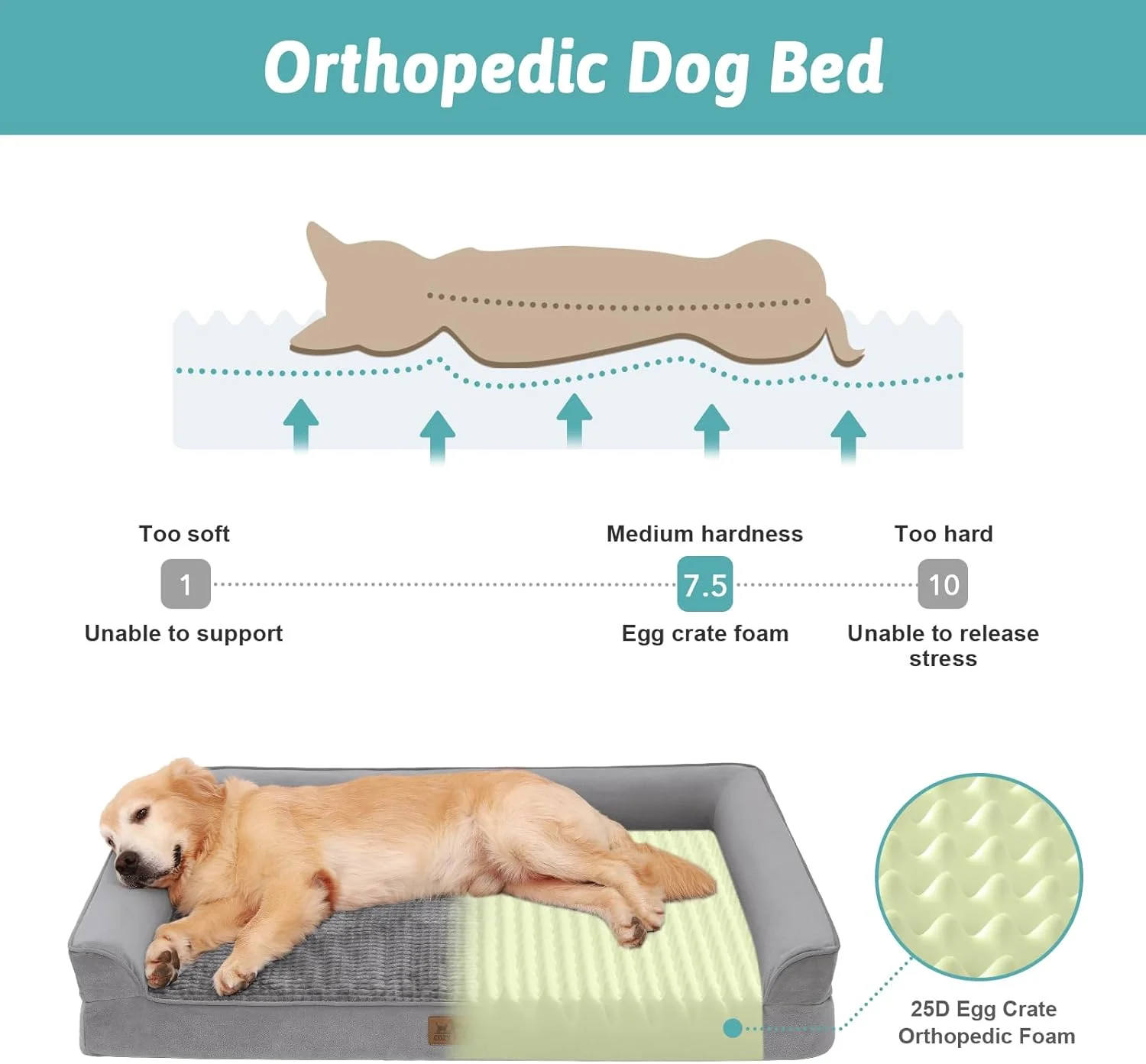 تخت خواب ارتوپدی سگ برای سگ های بزرگ، مبل X حیوانات خانگی برای سگ، مبل بزرگ با فوم تقویتی با روکش ضد آب، ضد لغزش، قابل شستشو، U شکل، 91x69x19 سانتی متر، خاکستری تخت خواب ارتوپدی سگ برای سگ های بزرگ، مبل X حیوانات خانگی برای سگ، مبل بزرگ با فوم تقویتی با روکش ضد آب، ضد لغزش، قابل شستشو، U شکل، 91x69x19 سانتی متر، خاکستری