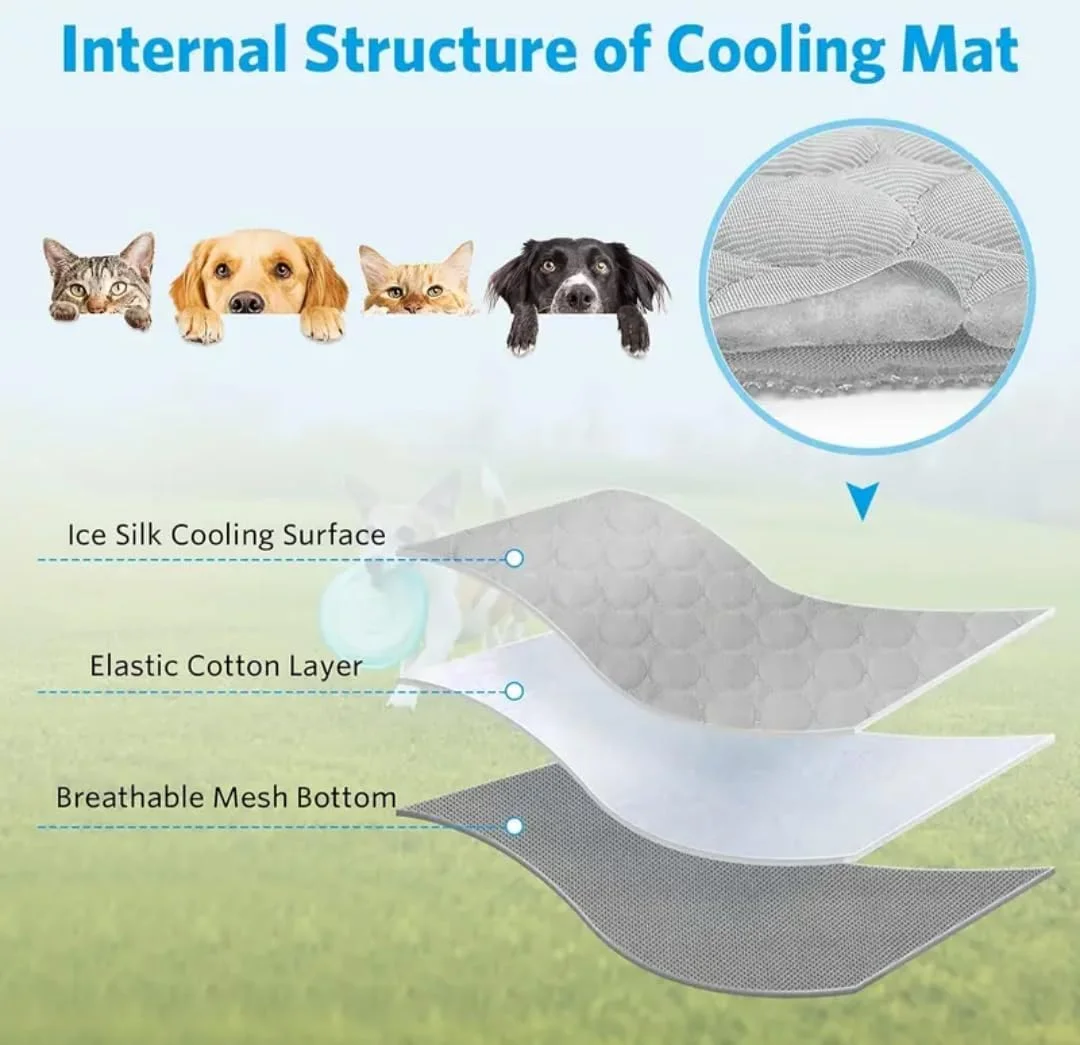 تشک خنک کننده حیوانات خانگی Nspr، (60x50 سانتی متر) کوسن تابستانی، تشک ابریشمی یخی سگ، تشک خنک کننده تنفسی مقاوم در برابر گاز گرفتن، برای سگ ها و گربه ها، تشک لانه تابستانی قابل شستشو (60x50 سانتی متر) تشک خنک کننده حیوانات خانگی Nspr، (60x50 سانتی متر) کوسن تابستانی، تشک ابریشمی یخی سگ، تشک خنک کننده تنفسی مقاوم در برابر گاز گرفتن، برای سگ ها و گربه ها، تشک لانه تابستانی قابل شستشو (60x50 سانتی متر)