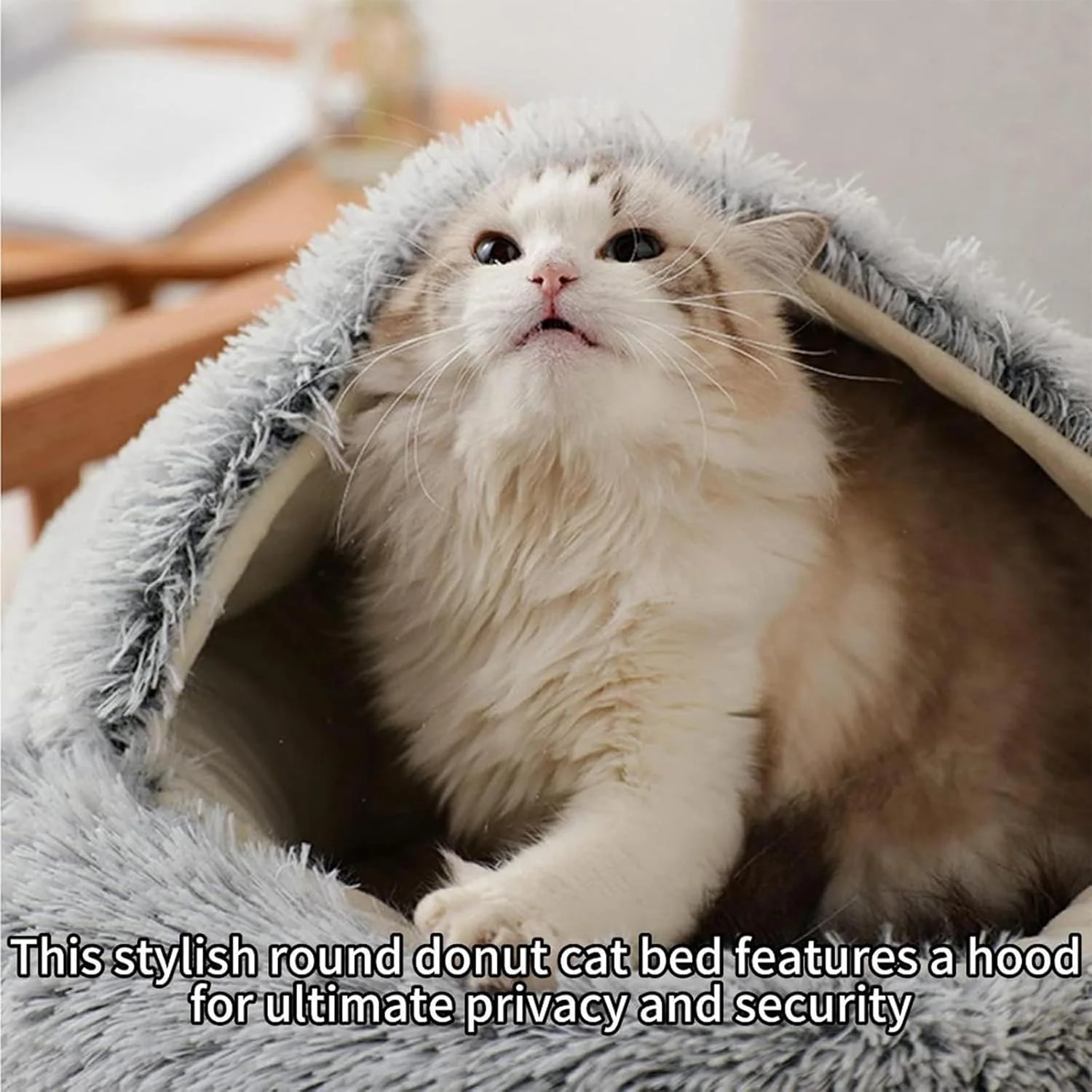 تخت خواب آرامش بخش گربه با پولیش خود گرم شونده، غار دنج گربه کلاه دار گرد برای گربه های داخل خانه و سگ های کوچک، کل تخت قابل شستشو در ماشین لباسشویی، پایه ضد لغزش و تنفس پذیر - مناسب تمام فصول (خاکستری، L) تخت خواب آرامش بخش گربه با پولیش خود گرم شونده، غار دنج گربه کلاه دار گرد برای گربه های داخل خانه و سگ های کوچک، کل تخت قابل شستشو در ماشین لباسشویی، پایه ضد لغزش و تنفس پذیر - مناسب تمام فصول (خاکستری، L)