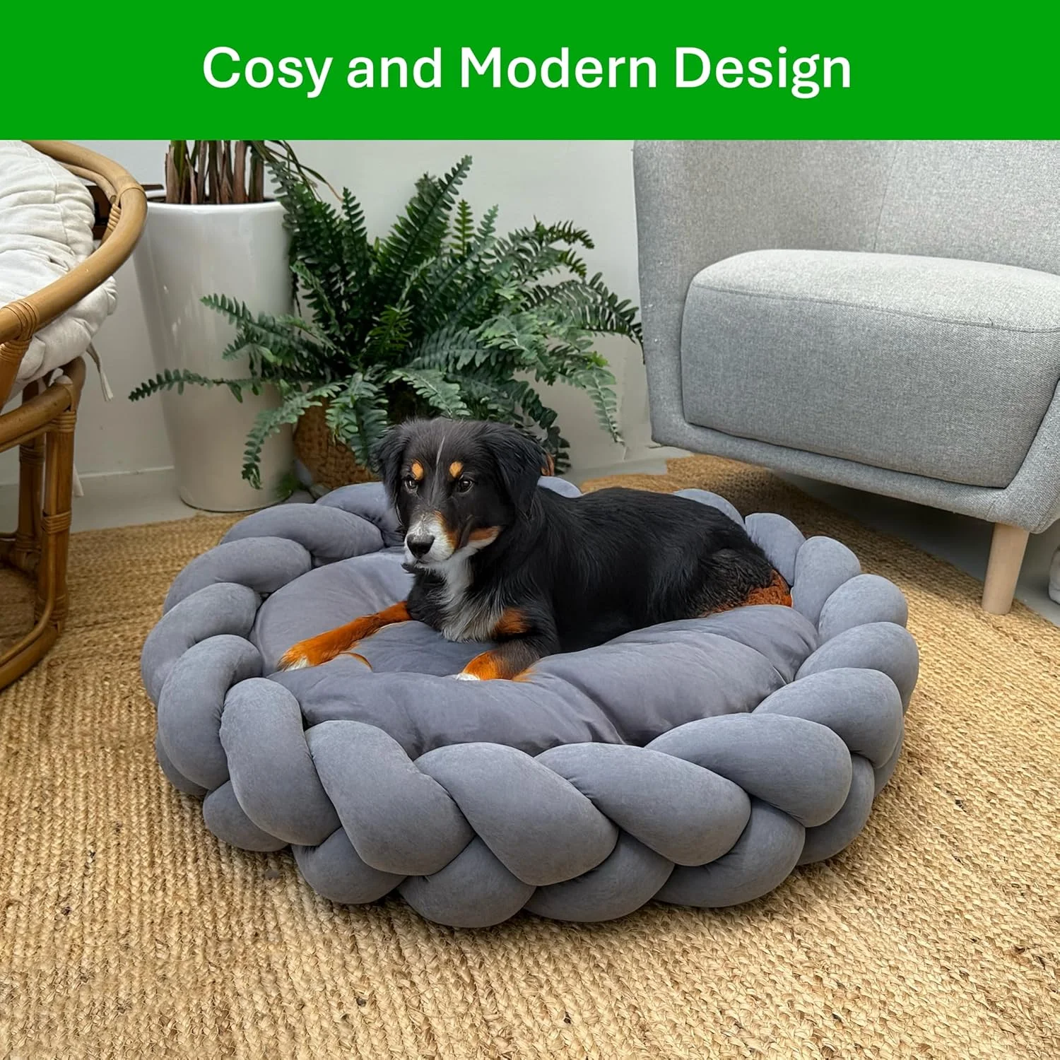 تخت خواب آرامش بخش سگ | لانه گرد بزرگ 80 سانتی متری برای سگ ها و گربه ها | کوسن مخملی نرم با حاشیه بافته شده ضخیم | روکش قابل شستشو در ماشین لباسشویی و کف ضد لغزش | طراحی مدرن و دنج (خاکستری زغالی) تخت خواب آرامش بخش سگ | لانه گرد بزرگ 80 سانتی متری برای سگ ها و گربه ها | کوسن مخملی نرم با حاشیه بافته شده ضخیم | روکش قابل شستشو در ماشین لباسشویی و کف ضد لغزش | طراحی مدرن و دنج (خاکستری زغالی)
