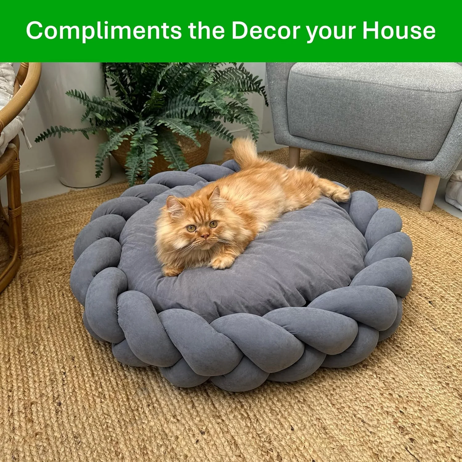 تخت خواب آرامش بخش سگ | لانه گرد بزرگ 80 سانتی متری برای سگ ها و گربه ها | کوسن مخملی نرم با حاشیه بافته شده ضخیم | روکش قابل شستشو در ماشین لباسشویی و کف ضد لغزش | طراحی مدرن و دنج (خاکستری زغالی) تخت خواب آرامش بخش سگ | لانه گرد بزرگ 80 سانتی متری برای سگ ها و گربه ها | کوسن مخملی نرم با حاشیه بافته شده ضخیم | روکش قابل شستشو در ماشین لباسشویی و کف ضد لغزش | طراحی مدرن و دنج (خاکستری زغالی)