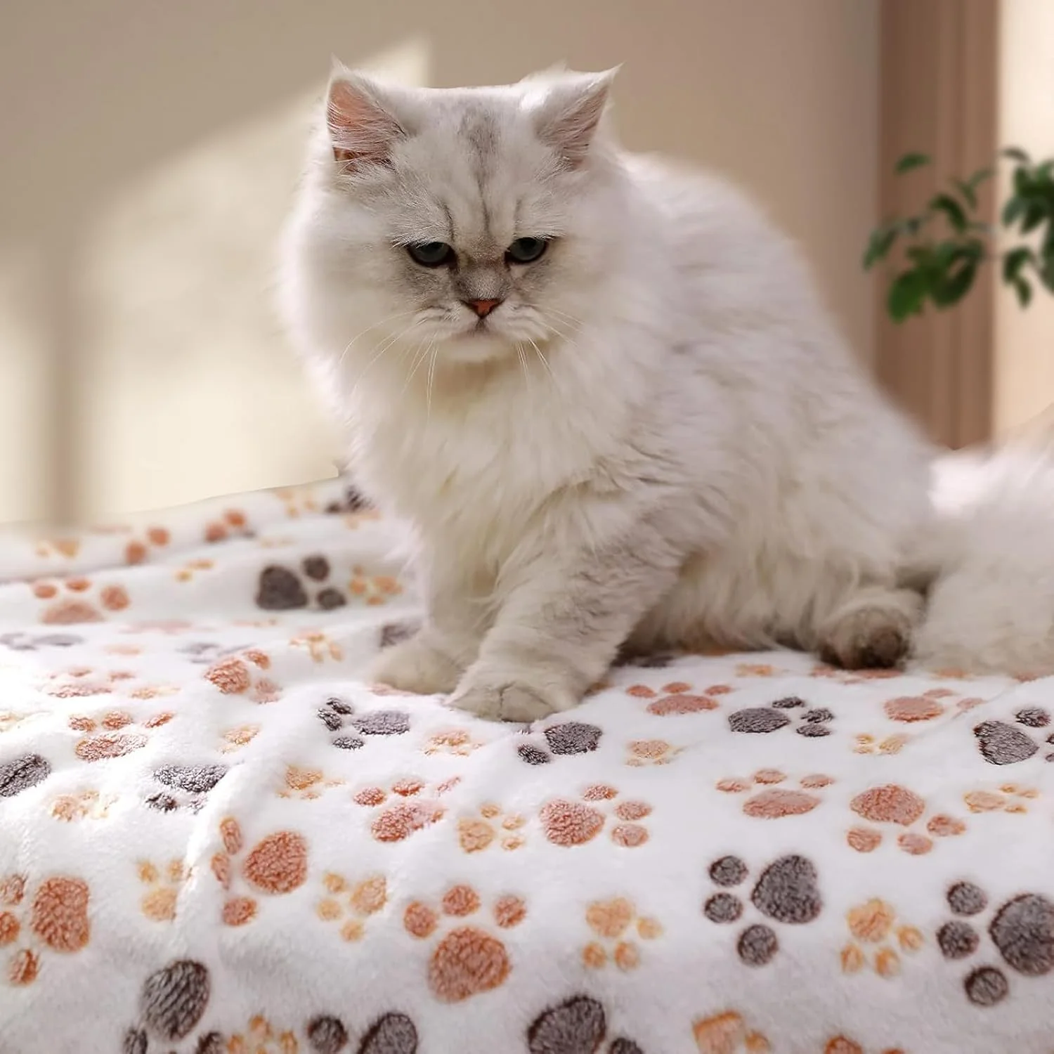 پتو سگ برای سگ های کوچک و متوسط قابل شستشو، بسته 3 عددی پتو حیوانات خانگی قابل شستشو 52 x 76 سانتی متر، پتو نرم و فازی برای توله سگ، روکش پرتابی برای لانه، تخت، پتو برای سگ ها، پتو حیوانات خانگی برای سگ ها پتو سگ برای سگ های کوچک و متوسط قابل شستشو، بسته 3 عددی پتو حیوانات خانگی قابل شستشو 52 x 76 سانتی متر، پتو نرم و فازی برای توله سگ، روکش پرتابی برای لانه، تخت، پتو برای سگ ها، پتو حیوانات خانگی برای سگ ها