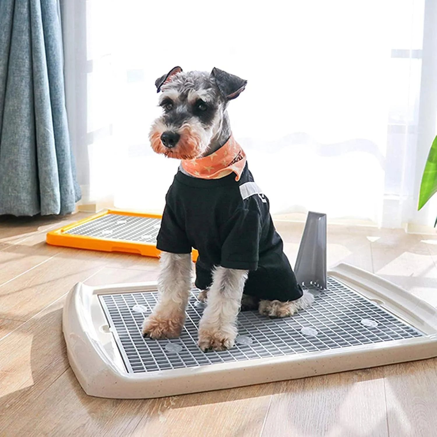 توالت حیوانات خانگی قابل حمل، آموزش ادرار سگ در داخل خانه با میله ادرار توله سگ، توری توالت سگ کوچک