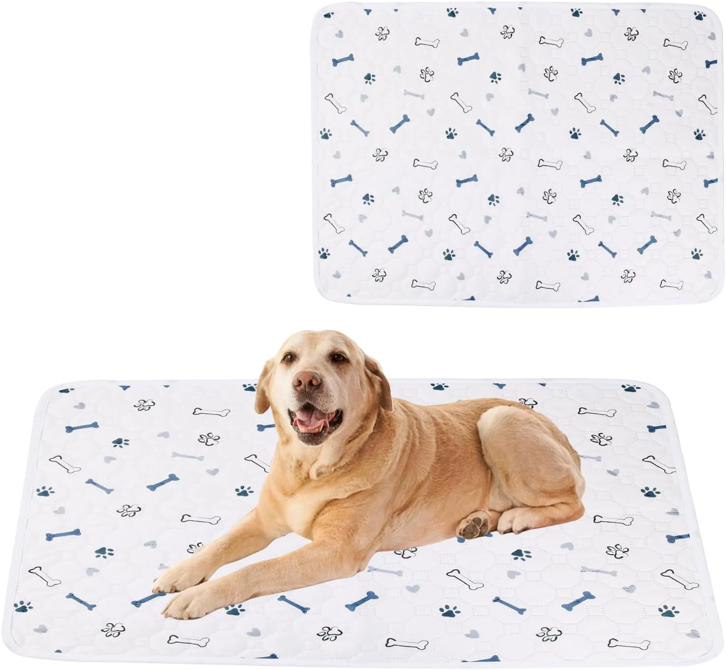 پدهای سگ قابل شستشو Wisebom، بسته 2 عددی، 50 در 70 سانتی متر، زیراندازهای جاذب قابل استفاده مجدد، پدهای ادرار حیوانات خانگی ضد لغزش و ضد آب برای گربه ها، سگ ها و خرگوش ها پدهای سگ قابل شستشو Wisebom، بسته 2 عددی، 50 در 70 سانتی متر، زیراندازهای جاذب قابل استفاده مجدد، پدهای ادرار حیوانات خانگی ضد لغزش و ضد آب برای گربه ها، سگ ها و خرگوش ها