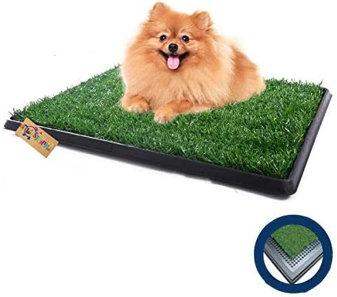 پد چمن مصنوعی آموزش ادرار سگ و گربه وسترن ارا مناسب فضای داخلی و خارجی (1 ست 3 تکه) پد چمن مصنوعی آموزش ادرار سگ و گربه وسترن ارا مناسب فضای داخلی و خارجی (1 ست 3 تکه)