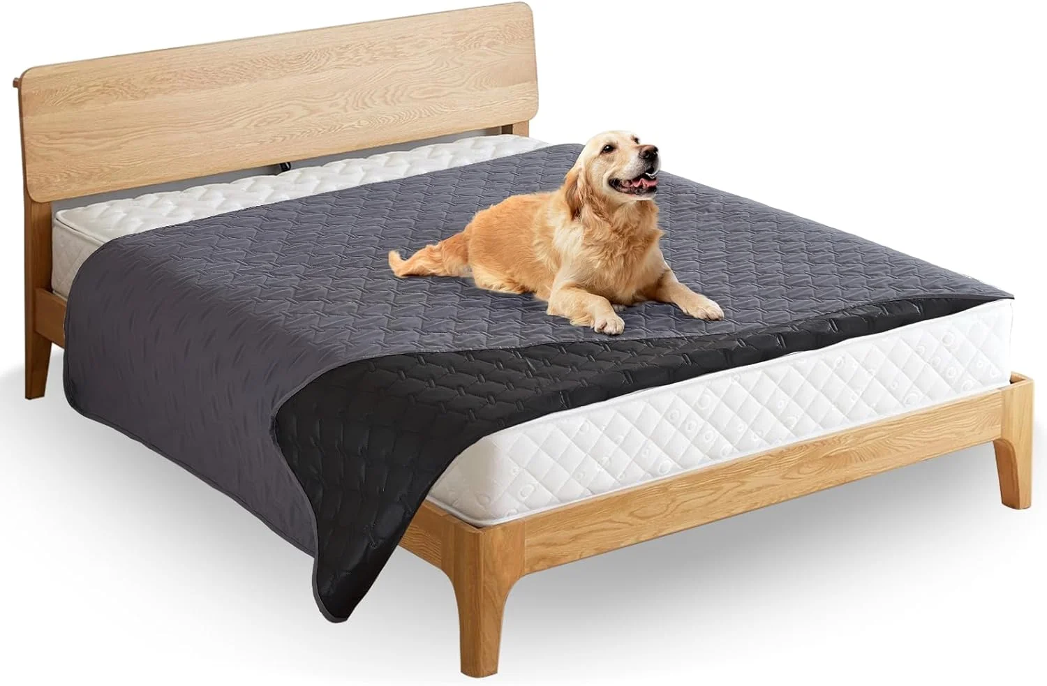 پتوی ضد آب سگ / پتوی گربه، زیرانداز مقاوم سگ به عنوان محافظ برای مبل و تخت، پتوی بزرگ ضد لغزش سگ برای سگ ها و گربه ها (خاکستری تیره، S)