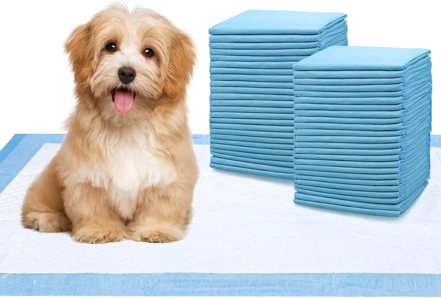 پد ادرار سگ 50 عددی، پد ضد آب ادرار سگ، پد ادرار ضد نشت برای آموزش دستشویی، پد آموزشی یکبار مصرف آبی رنگ با جذب فوق العاده برای سگ، گربه، خرگوش و خوکچه هندی (M)