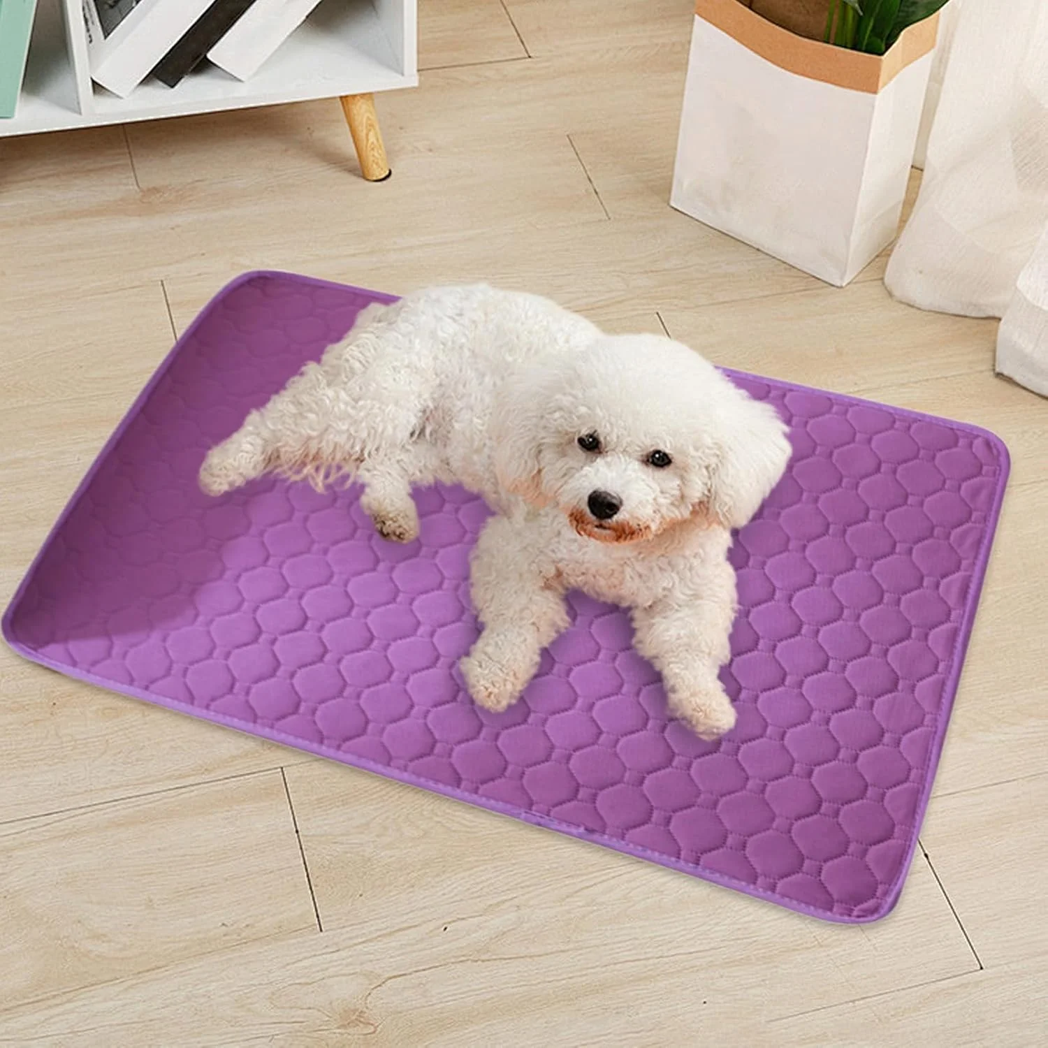 پدهای ادرار شوی برای سگ ها، زیرانداز ضد آب برای آموزش سگ، زیرانداز حیوانات خانگی ضد آب و ضد نشت برای سفر، مناسب برای انواع نژادهای سگ، گربه و بچه گربه