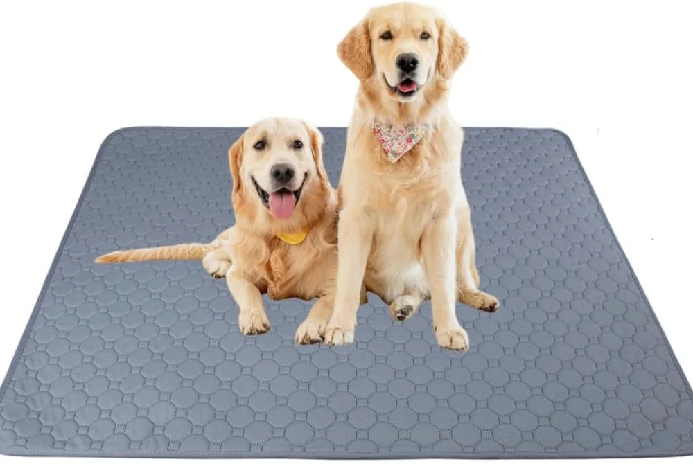 پد ادرار سگ قابل شستشو، پد آموزش ادرار ضد آب و قابل استفاده مجدد، زیرانداز کاسه سگ ضد لغزش با جذب عالی، پد سگ سریع خشک شونده و قابل استفاده مجدد برای کف، مبل، دستشویی، قفس، ماشین (183x183 سانتی متر)
