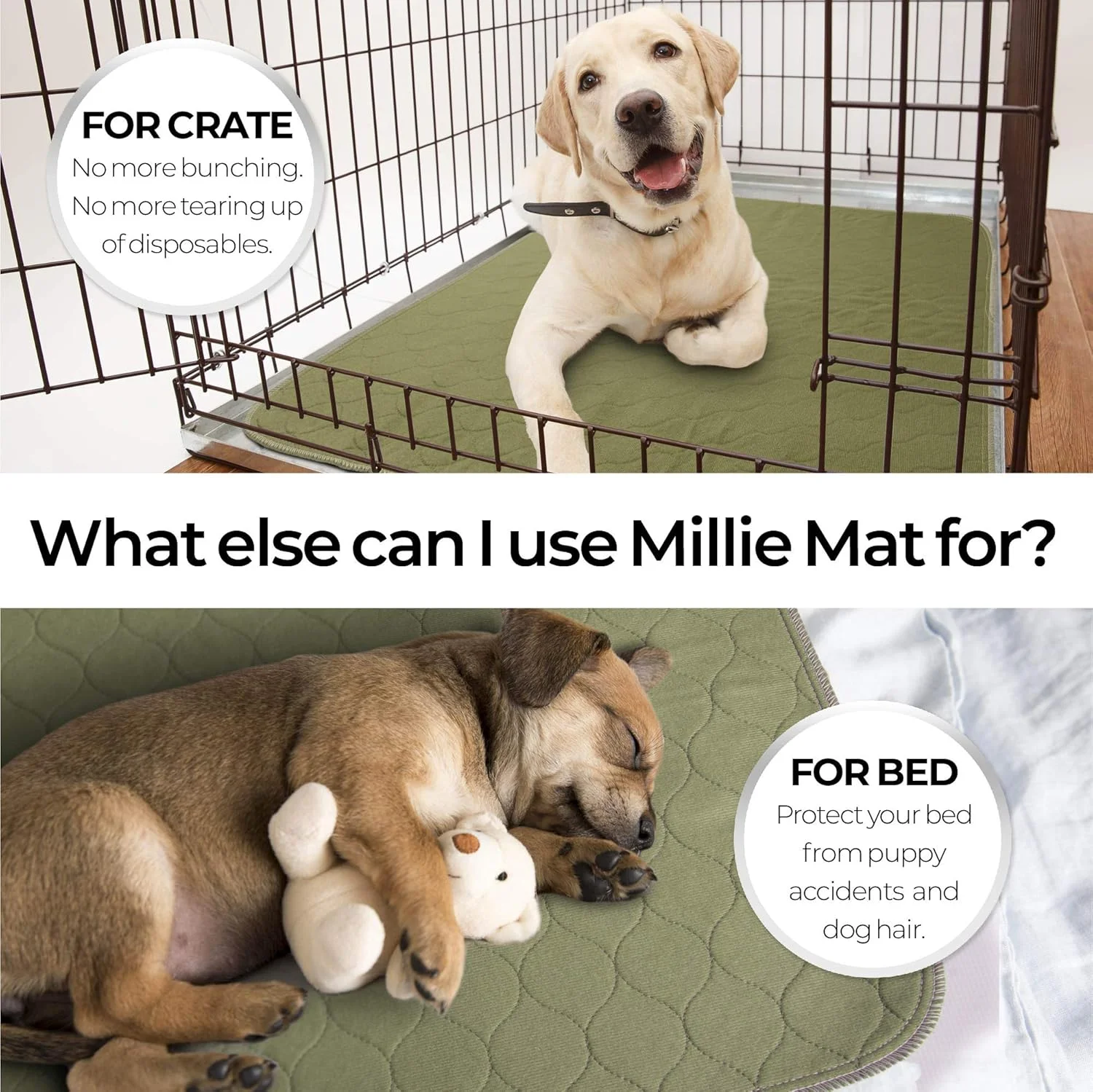 پدهای ادرار سگ قابل شستشو برای آموزش (2 عددی) لایه زیرین ضد آب برای محافظت از کف، ماشین، نگهداری آسان قفس. مورد استفاده برای توله سگ ها، سگ های بی اختیاری، سگ های مسن