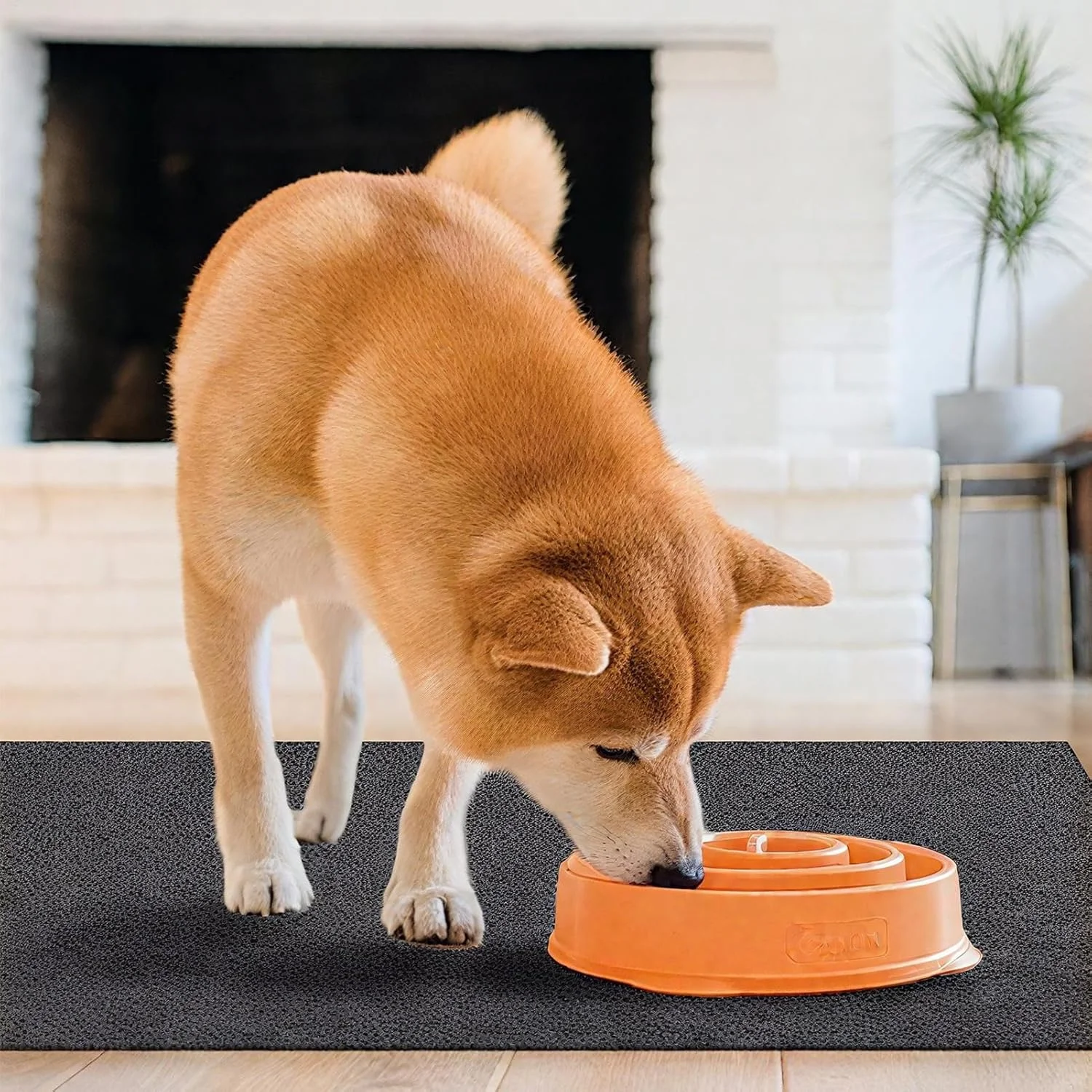 زیرانداز برای زیر قفس سگ، پد ادرار قابل شستشو برای آموزش جعبه | پد ادرار با جذب سریع ادرار برای آموزش جعبه بازی، برای آموزش دستشویی و زایمان