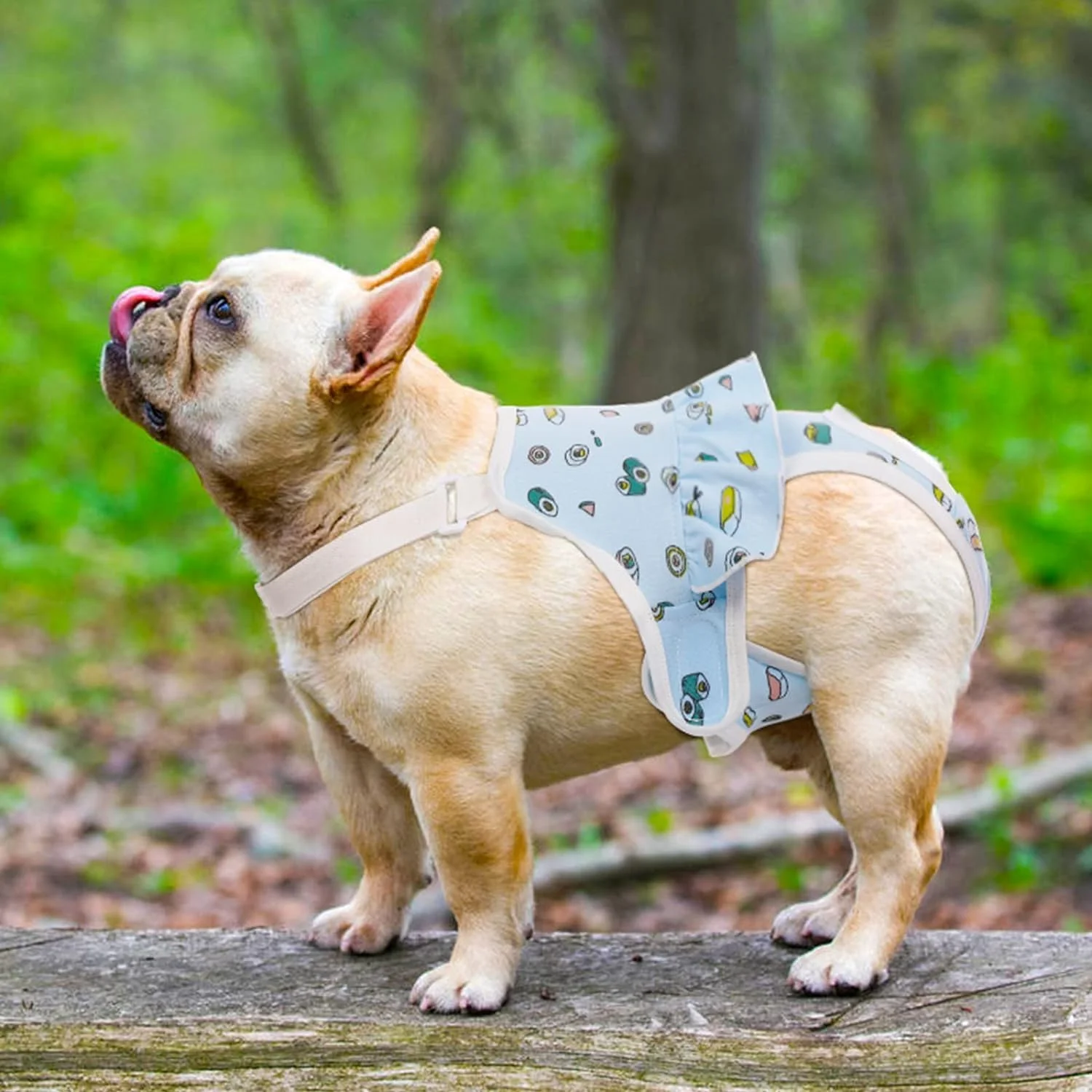 شورت بهداشتی سگ ماده قابل شستشو با بند قابل تنظیم، پوشک سگ قابل استفاده مجدد، شورت دوران قاعدگی حیوانات خانگی برای سگ های ماده، لباس زیر سگ (S)