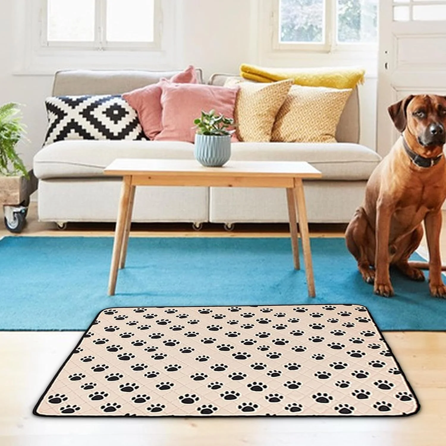 پدهای ادرار شوی سگ، پدهای آموزشی توله سگ قابل استفاده مجدد، زیراندازهای ضد نشت ادرار حیوانات خانگی برای آموزش دستشویی، زایمان، پرستاری در محیط داخلی و خارجی