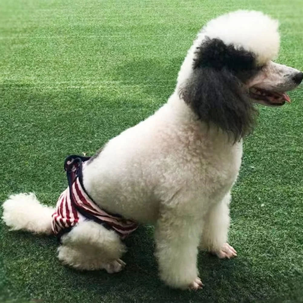 شورت بهداشتی سگ ماده قابل شستشو و استفاده مجدد ضد نشت و قابل تنظیم سایز M قرمز، لباس سگ، شورت سگ