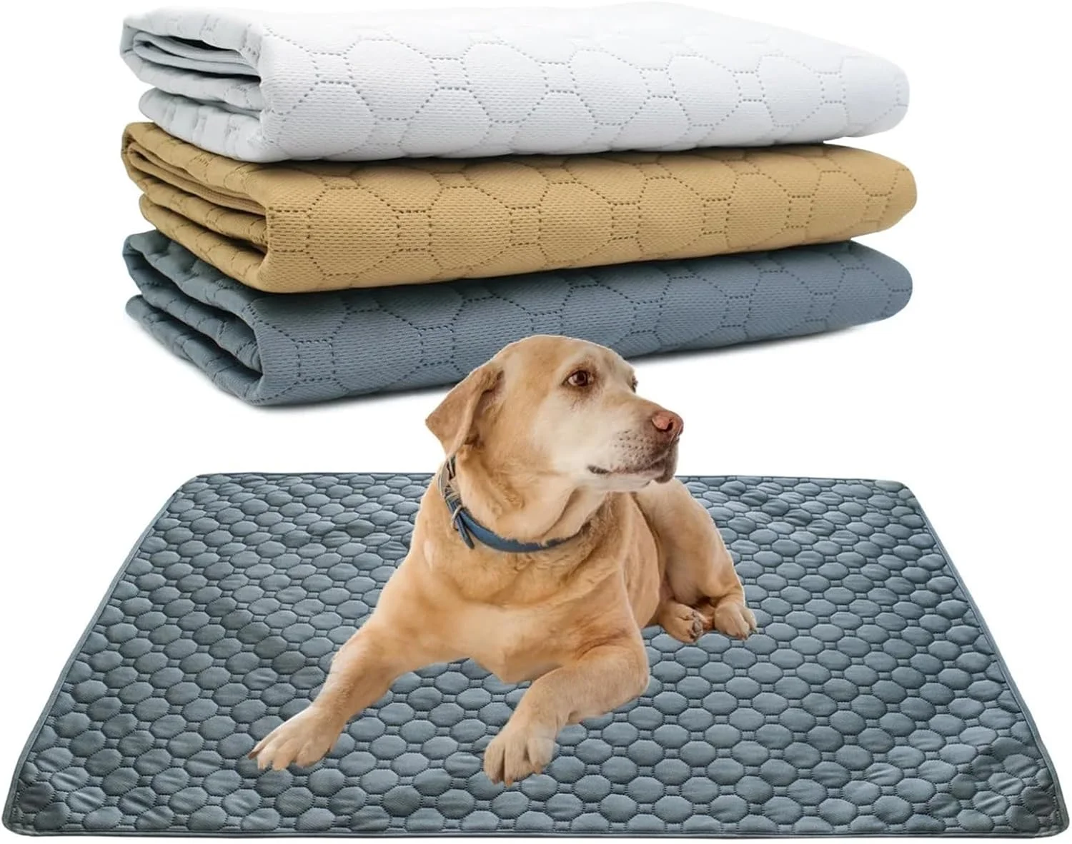 پدهای ادرار قابل شستشو برای سگ، پد ادرار سگ قابل استفاده مجدد، پتو جاذب، پوشک، پد آموزشی توله سگ قابل شستشو، تشک ادرار تخت حیوانات خانگی برای پوشش صندلی ماشین حیوانات خانگی (رنگ 1، 45X60CM)