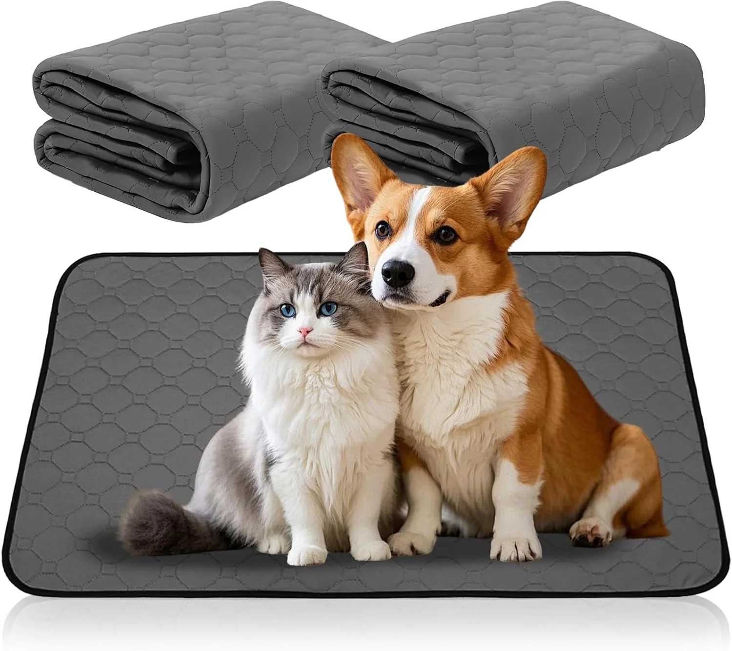 پد سگ قابل شستشو، 2 عدد، 60 x 50 سانتی متر، زیرانداز ادرار حیوانات خانگی، قابل شستشو، ست، زیرانداز با جذب سریع برای سگ ها، زیرانداز بهداشتی حیوانات خانگی، زیرانداز سگ برای کف، مبل، ماشین، مسافرت