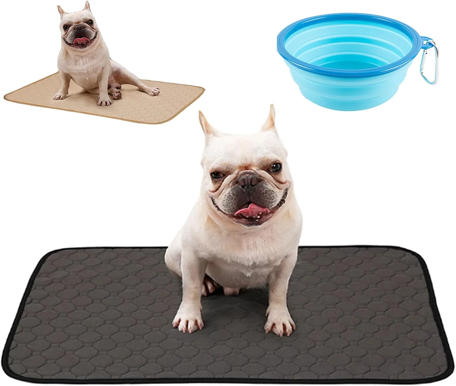 پدهای ادرار قابل شستشو و استفاده مجدد برای سگ ها و توله سگ ها، بسته 2 عددی، پد زایمان حیوانات خانگی جاذب و ضد لغزش، پدهای آموزش دستشویی توله سگ، زیرانداز کاسه آب و غذای حیوانات خانگی به همراه کاسه تاشو