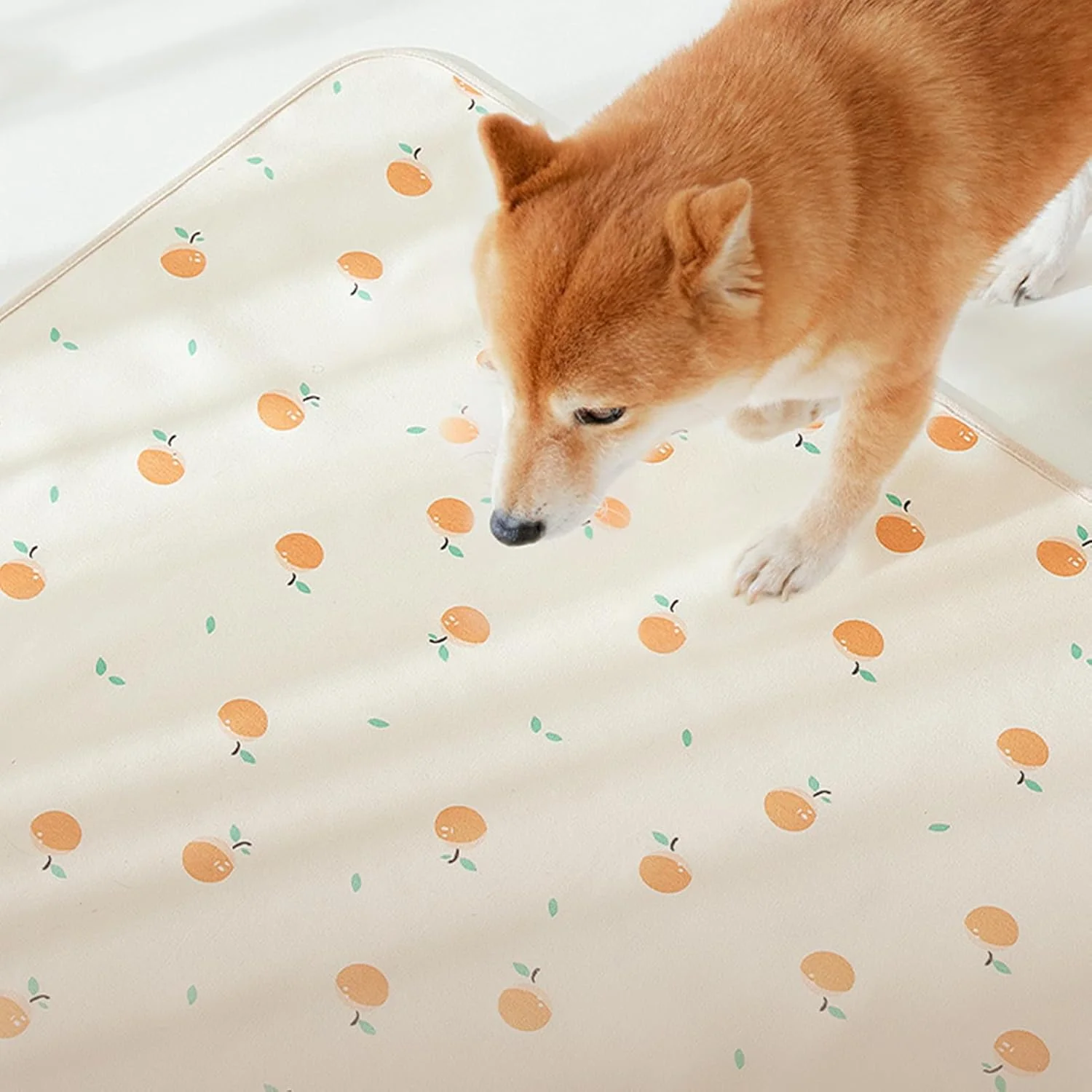 پدهای قابل شستشو برای آموزش ادرار سگ - پد ادرار حیوانات خانگی، ضد نشت قابل شستشو با لایه ضد آب TPU، پد کف تنفسی برای توله سگ، بچه گربه، سگ های مسن، نژادهای متوسط و بزرگ، گربه، خرگوش، چینچیلا، همستر