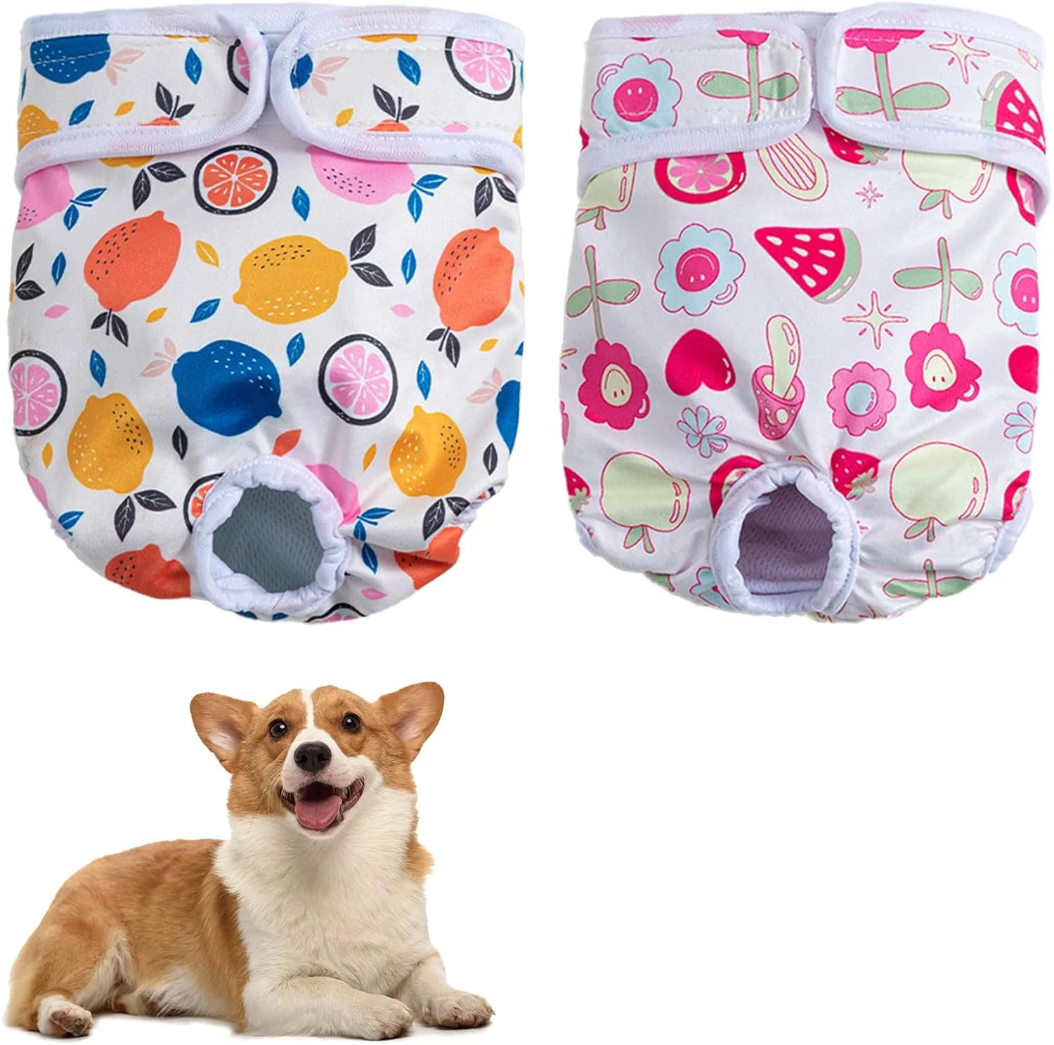 پوشک سگ قابل شستشو برای سگ های فحل، بسته 2 عددی، سایز متوسط، طرح میوه، جاذب و قابل استفاده مجدد