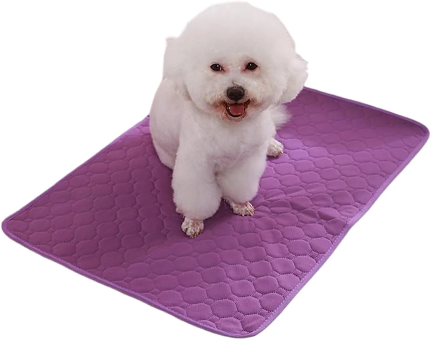 پد ادرار شوی برای سگ | پد های قابل شستشوی توله سگ - زیرانداز ضد آب و ضد نشت، لوازم تنفسی حیوانات خانگی برای نژادهای کوچک، متوسط و بزرگ، مناسب فضای داخلی و خارجی