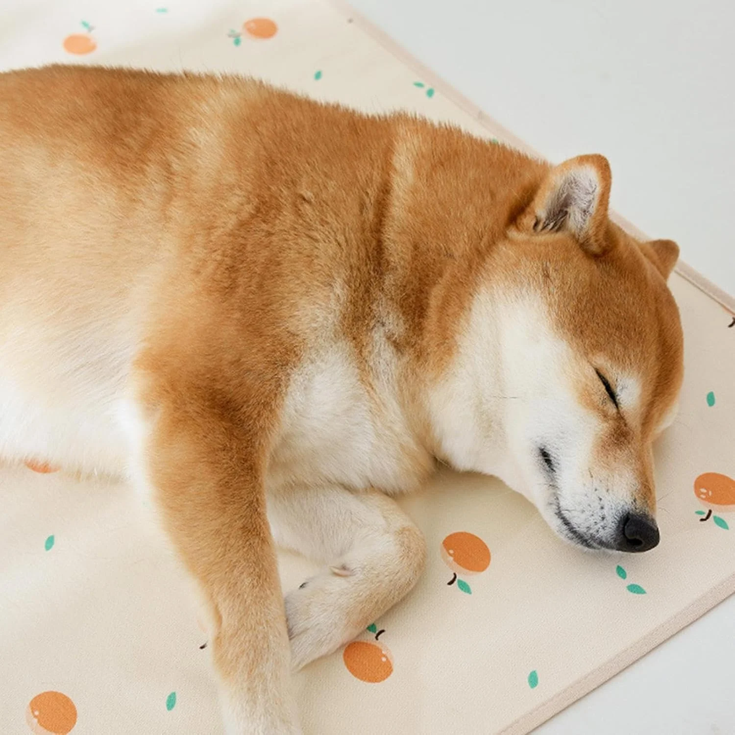 پد ادرار قابل شستشوی سگ | پد ادرار سگ | زیرانداز ضد نشت با لایه ضد آب TPU قابل تنفس برای نژادهای متوسط و بزرگ، جوجه تیغی، خرگوش، توله سگ، مسافرت، چینچیلا، حیوانات مسن، کف خانه، قفس