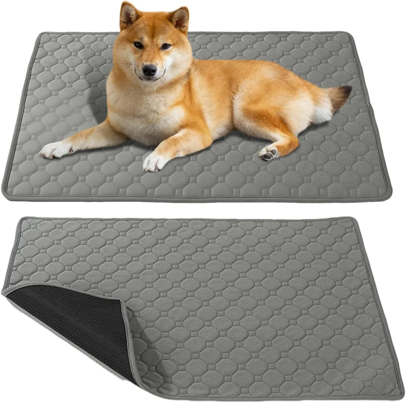 پد ادرار قابل شستشو برای حیوانات خانگی، پد بزرگ ضد آب و قابل استفاده مجدد برای آموزش، پد جاذب قابل شستشو برای سگ و گربه، محافظ در محوطه بازی، جعبه یا روی زمین 50x60 سانتی متر پد ادرار قابل شستشو برای حیوانات خانگی، پد بزرگ ضد آب و قابل استفاده مجدد برای آموزش، پد جاذب قابل شستشو برای سگ و گربه، محافظ در محوطه بازی، جعبه یا روی زمین 50x60 سانتی متر