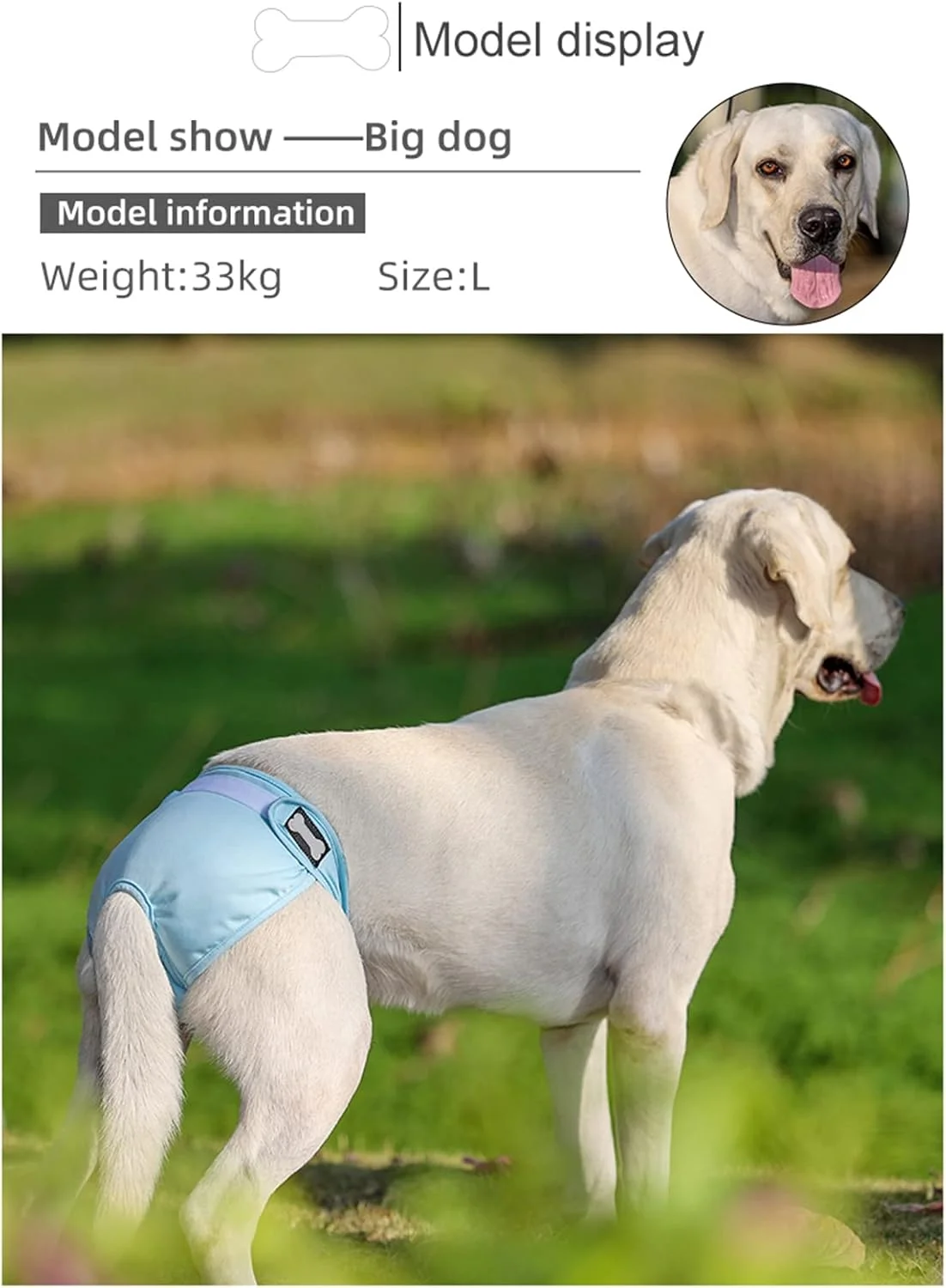 پوشک های پارچه ای قابل شستشو برای سگ های ماده، پوشک سگ ماده قابل استفاده مجدد، پوشک سگ ماده تنفسی، بسته 3 عددی