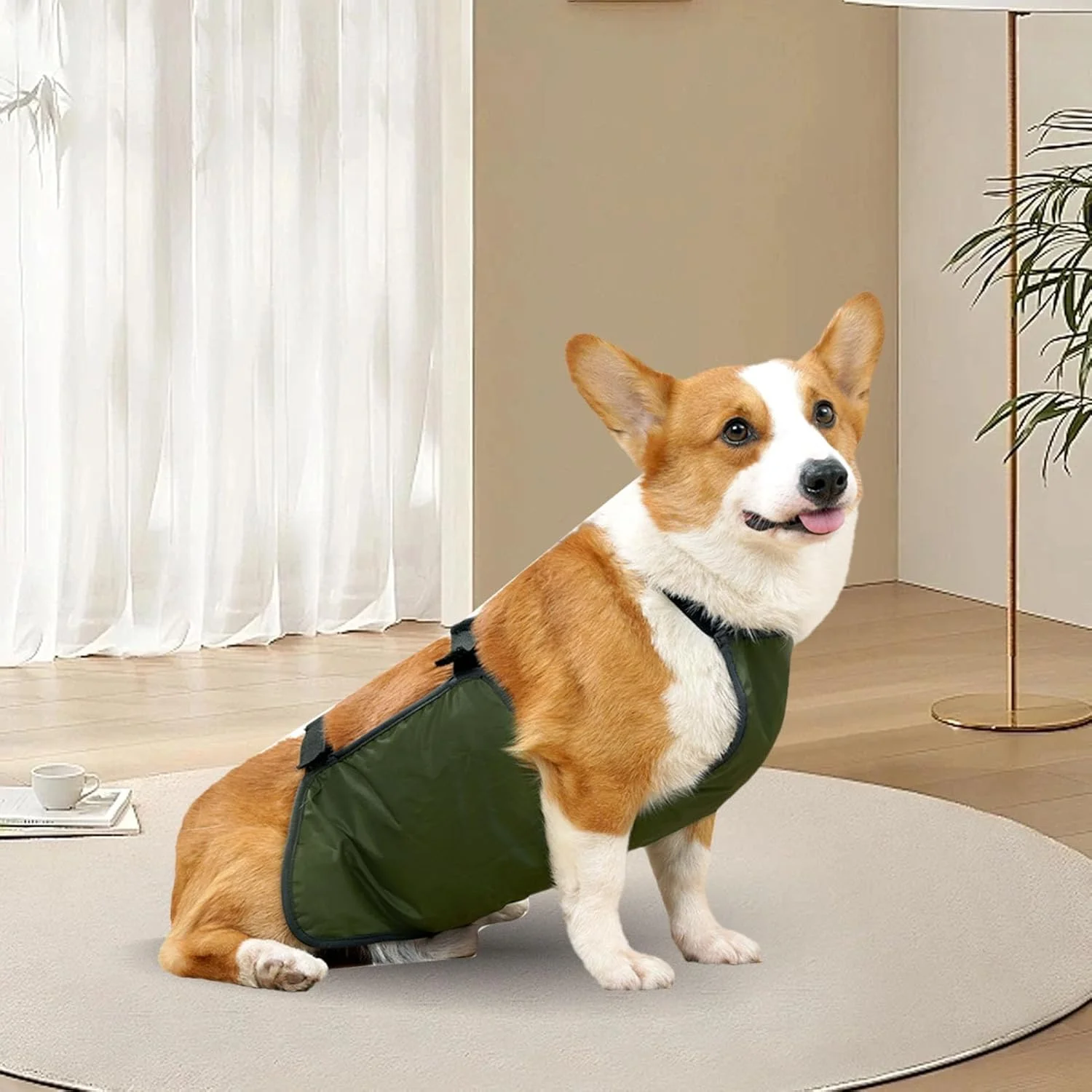 باند شکمی سگ قابل شستشو، تنفسی، موثر، محافظت کامل، پوشش شکم سگ، پوشک حیوان خانگی توله سگ (سبز) (M)