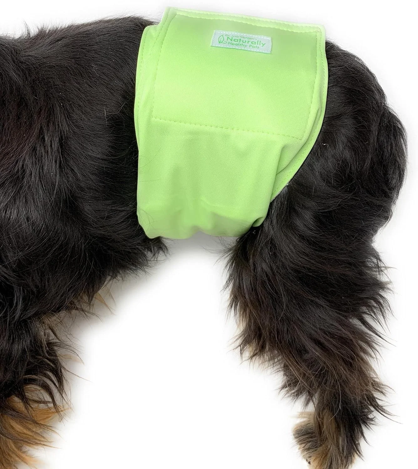 Washable Male Dog Diaper Belly Band wrap Solid Colors (Large)