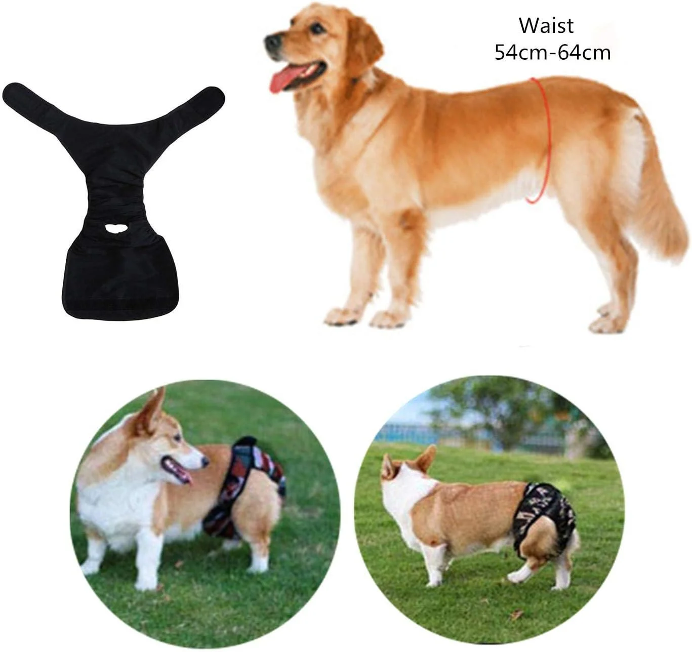 شورت بهداشتی سگ قابل شستشو و تنظیم سایز