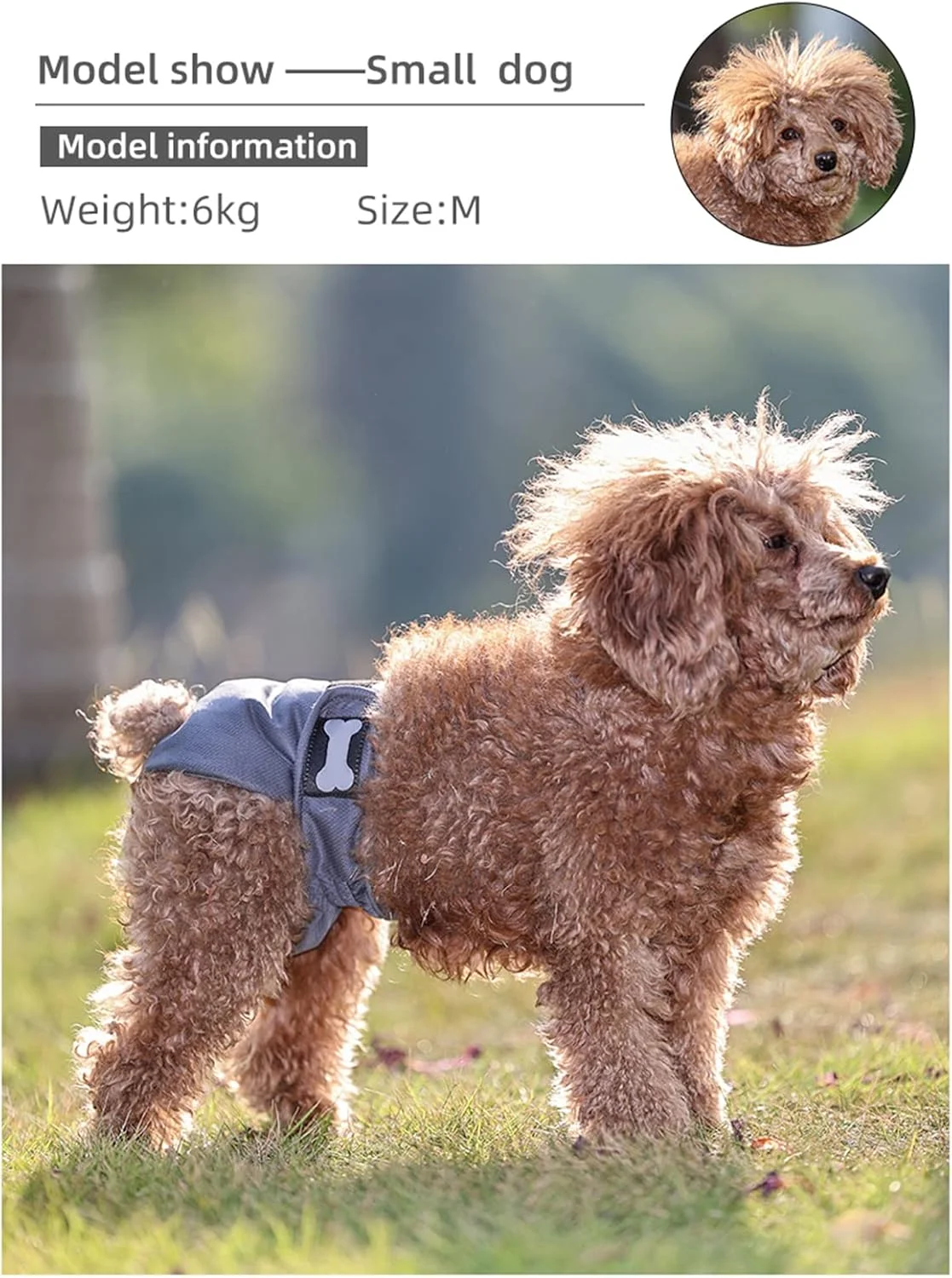 پوشک های پارچه ای سگ ماده قابل شستشو، پوشک سگ ماده قابل استفاده مجدد، پوشک سگ ماده تنفسی، بسته 3 عددی