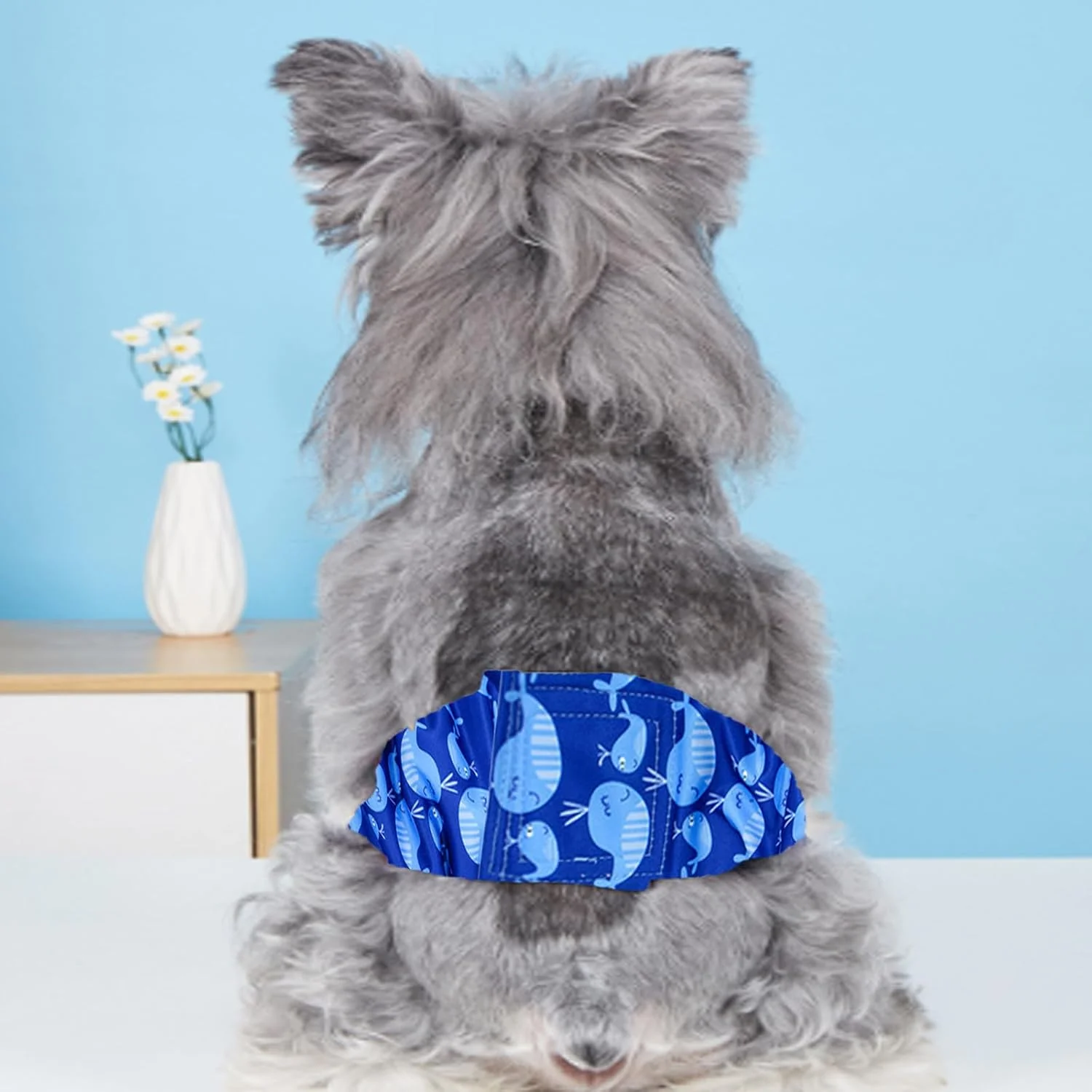 پوشک سگ نر قابل شستشو، نوارهای شکمی جاذب با کمر قابل تنظیم، قابل استفاده مجدد، قابل شستشو، برای سگ های متوسط​​، متوسط، بسته 2 عددی