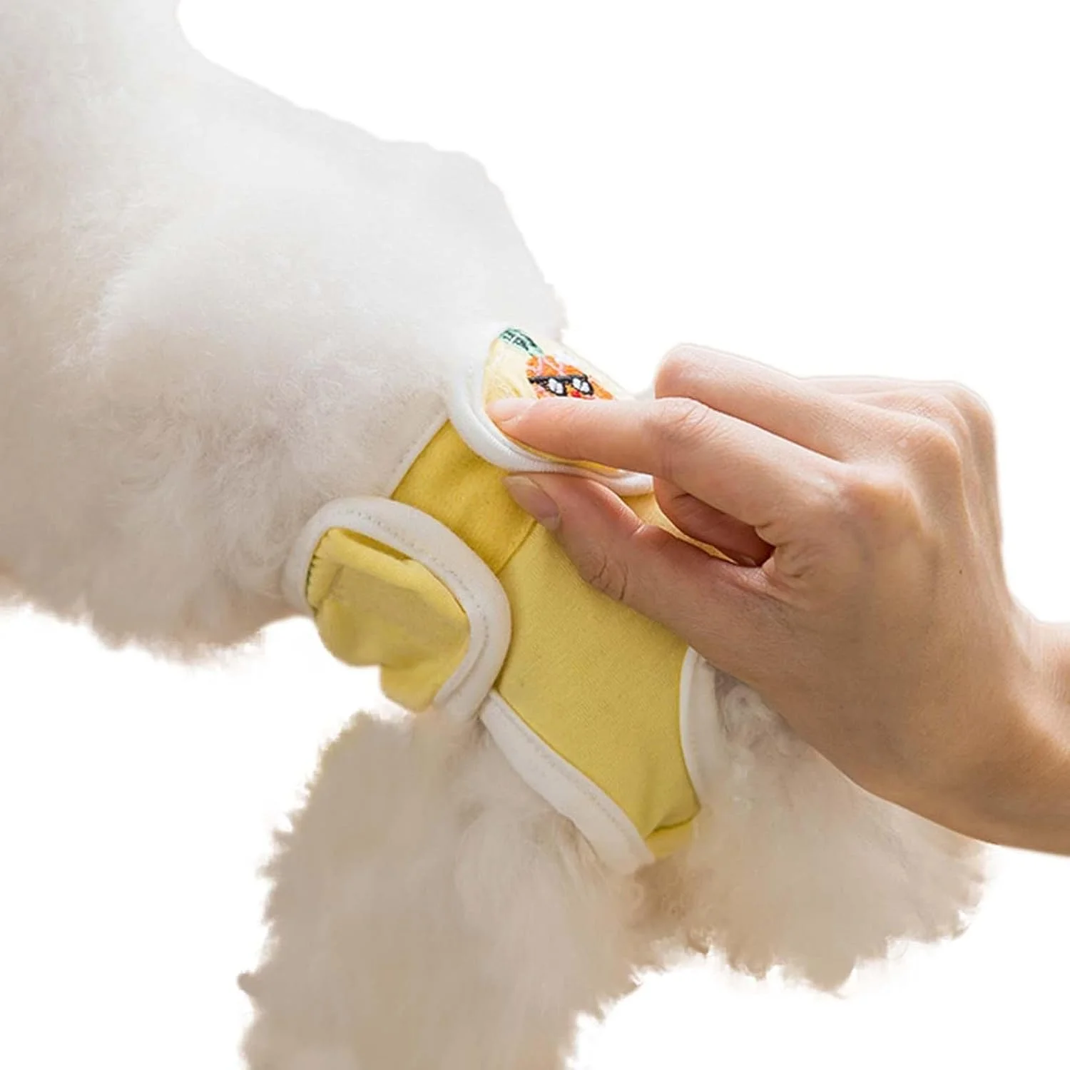 پوشک سگ ماده قابل شستشو | پوشک های راحت و قابل استفاده مجدد برای سگ های ماده در دوران قاعدگی، پوشک توله سگ ضد نشت قابل شستشو و استفاده مجدد پوشک سگ ماده قابل شستشو | پوشک های راحت و قابل استفاده مجدد برای سگ های ماده در دوران قاعدگی، پوشک توله سگ ضد نشت قابل شستشو و استفاده مجدد