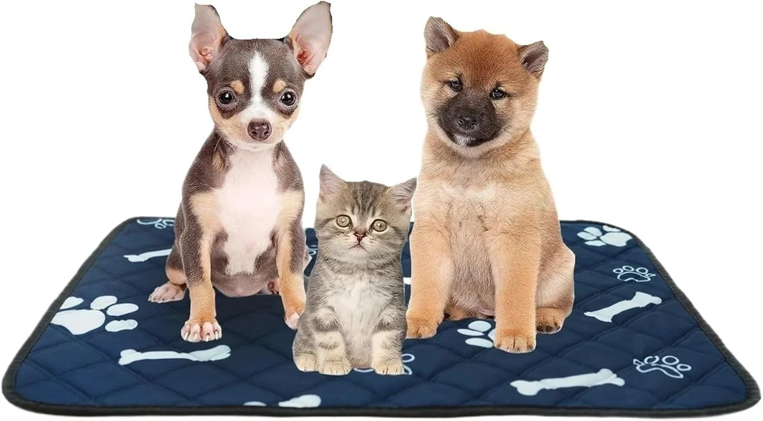 پد ادرار سگ قابل شستشو، پد ادرار سگ جاذب و ضد نشت، پد آموزش ادرار مجدد حیوانات خانگی (60X45cm 4 عدد)