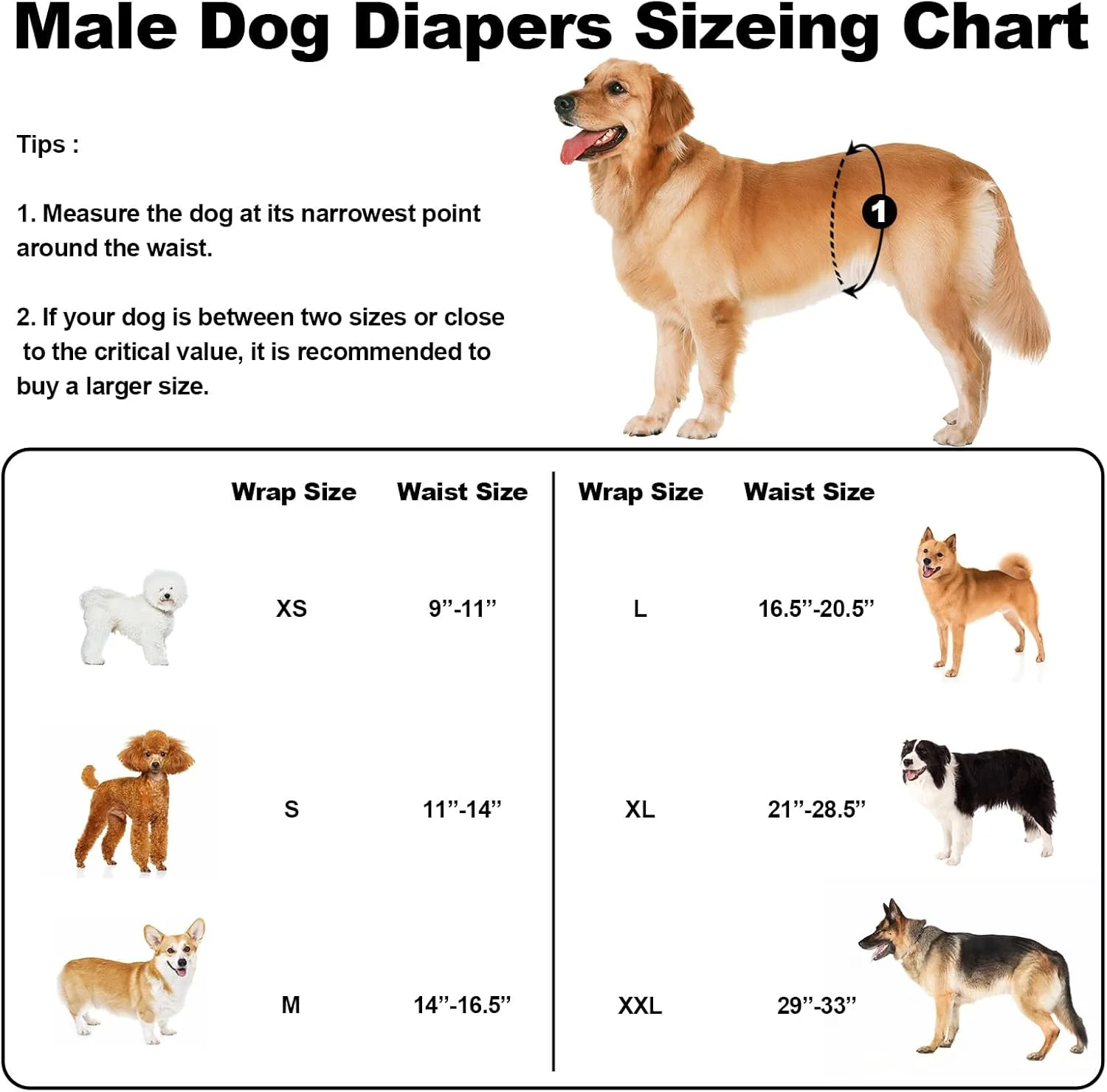 پوشک سگ نر قابل شستشو و چند بار مصرف، کمربند شکمی ممتاز برای سگ های نر، بسته 3 عددی، پوشک بسیار کوچک با جذب بالا برای سگ های نر در بی اختیاری ادرار یا ادرار هیجانی و آموزش (XS) پوشک سگ نر قابل شستشو و چند بار مصرف، کمربند شکمی ممتاز برای سگ های نر، بسته 3 عددی، پوشک بسیار کوچک با جذب بالا برای سگ های نر در بی اختیاری ادرار یا ادرار هیجانی و آموزش (XS)