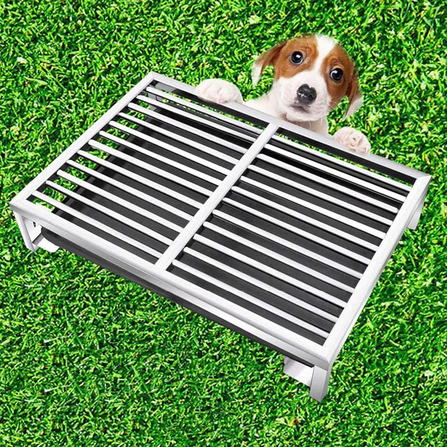 ظرف دستشویی سگ WANGPP از جنس استیل ضد زنگ، توالت توری سگ ضد لغزش داخلی، طراحی دو لایه، پاهای حیوانات خانگی شما را خشک و تمیز نگه می دارد (انتخاب های متعدد)