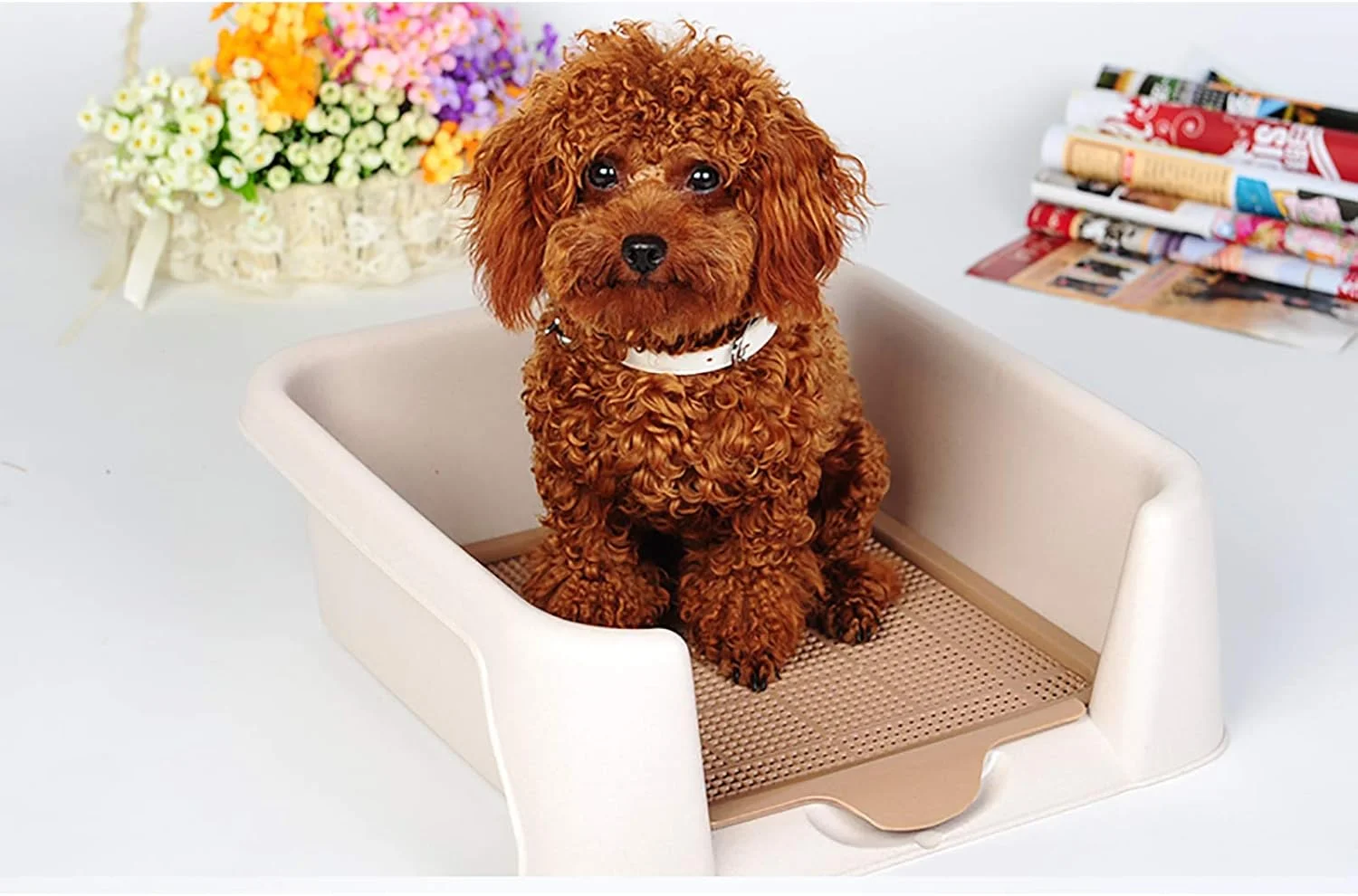 توالت سگ قابل حمل WANGPP، پد آموزش توالت حیوانات خانگی، سینی زباله قابل جابجایی برای تمیز کردن آسان تر، برای داخل و خارج از منزل (سایزهای مختلف)