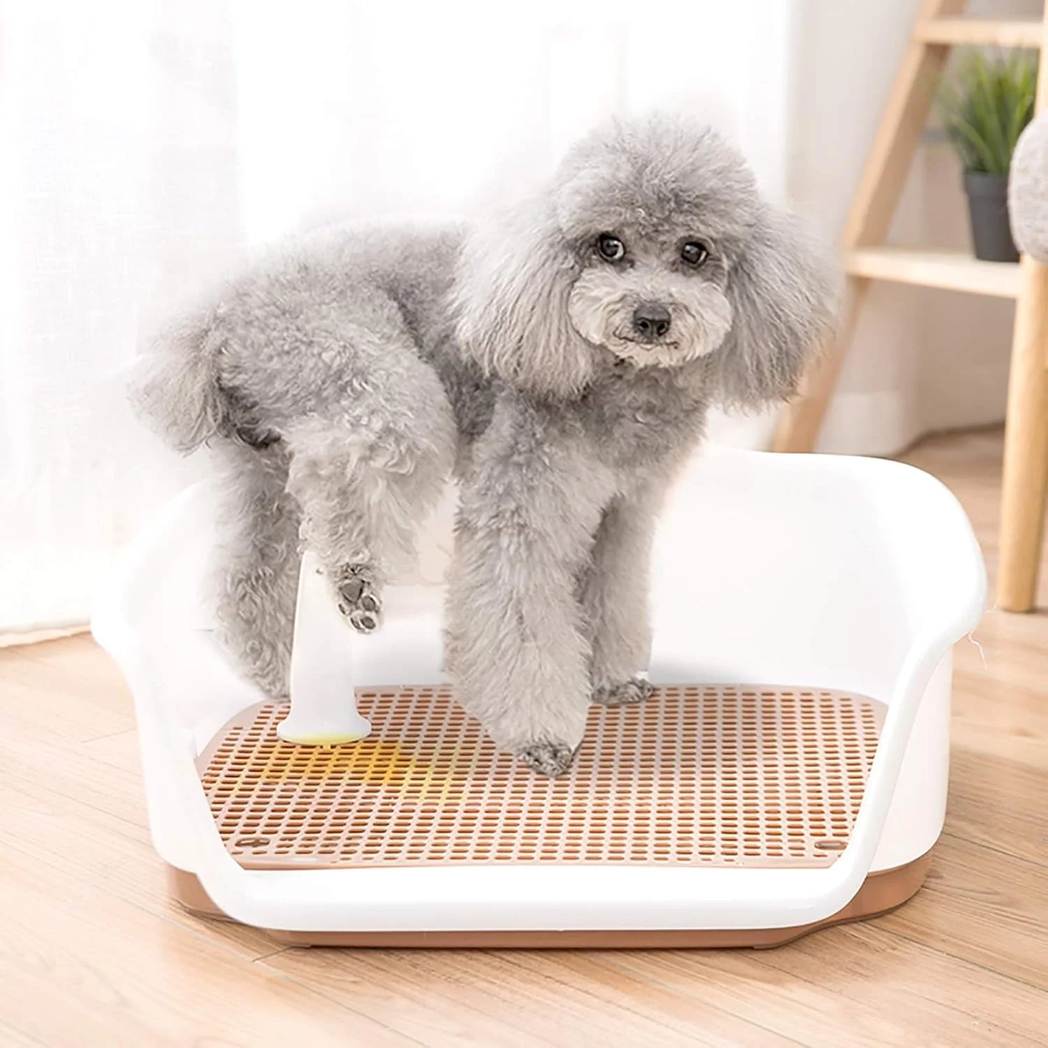 توالت سگ باز WANGPP، توالت حیوانات خانگی داخلی، پد آموزش ادرار توله سگ قابل حمل، تمیز کردن آسان، ضد لغزش، ضد پاشش، پنجه ها را خشک نگه می دارد (قهوه ای) توالت سگ باز WANGPP، توالت حیوانات خانگی داخلی، پد آموزش ادرار توله سگ قابل حمل، تمیز کردن آسان، ضد لغزش، ضد پاشش، پنجه ها را خشک نگه می دارد (قهوه ای)