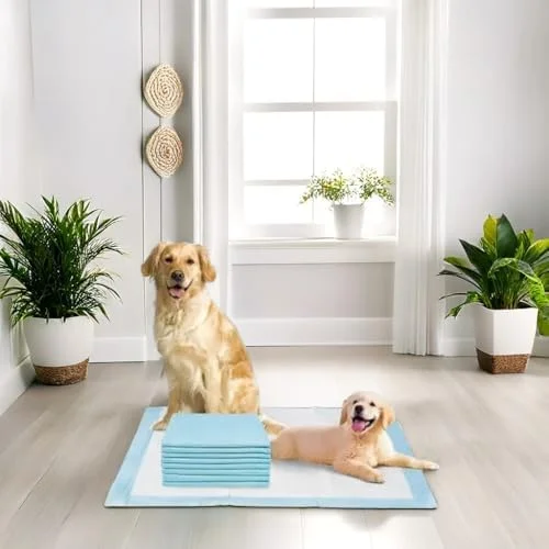 پدهای آموزشی حیوانات خانگی Vsell24، بسته 50 عددی، 6 لایه، یکبار مصرف، جاذب سریع، ضد لغزش، مناسب آموزش ادرار سگ و گربه (سایز M (45X60CM))