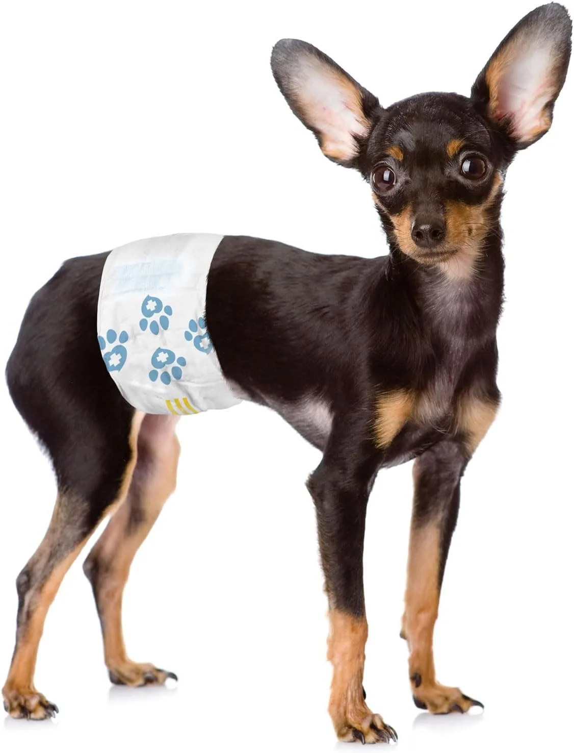 پوشک سگ نر یکبار مصرف ValueWrap، پوشک سگ، خیلی کوچک، 72 عدد - پوشش نر، بی اختیاری، بست بدون گیر کردن، محافظت در برابر نشت، نشانگر رطوبت