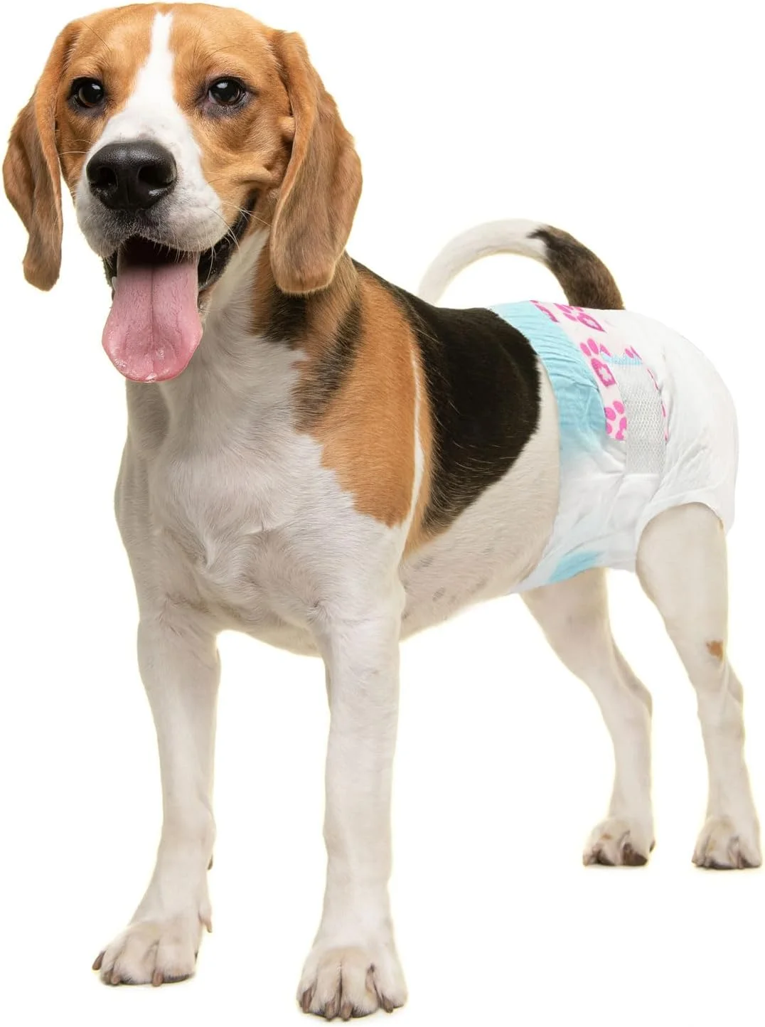 پوشک یکبار مصرف سگ ماده ValueFresh، سایز متوسط، 36 عدد - پوشش کامل با سوراخ دم، بست های بدون گیر کردن، محافظت در برابر نشت، نشانگر رطوبت