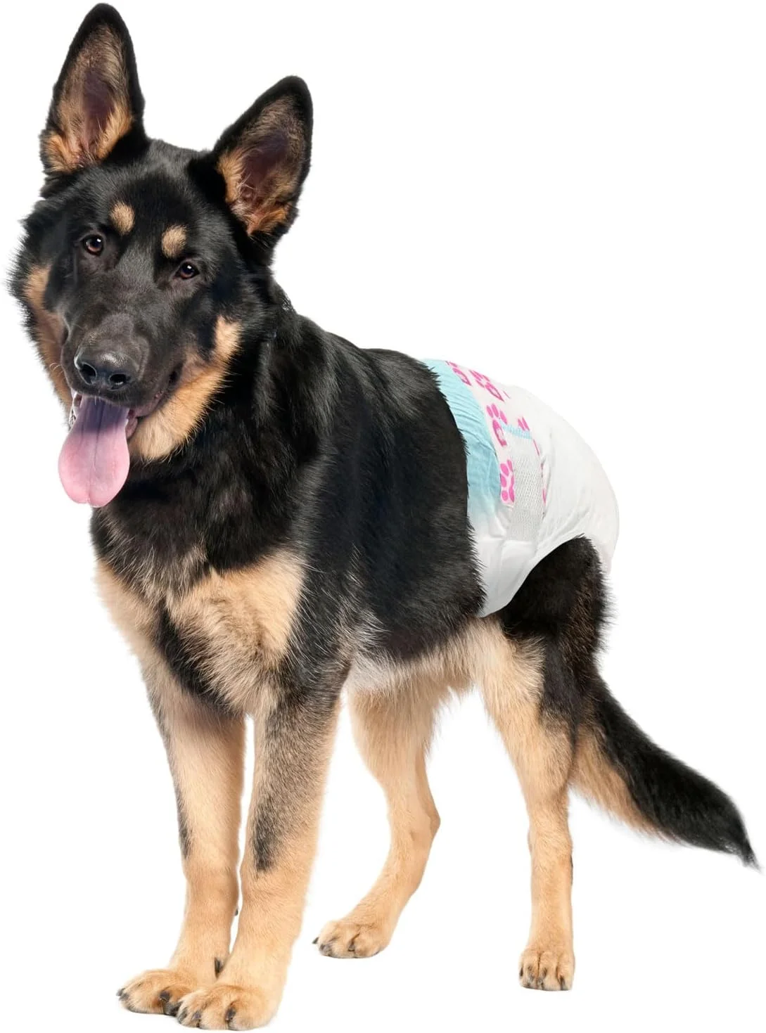 پوشک سگ ماده یکبار مصرف ValueFresh، سایز XX-بزرگ، 36 عددی - پوشش کامل با سوراخ دم، بست های بدون گیر کردن، محافظت در برابر نشت، نشانگر رطوبت